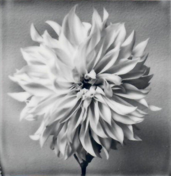 Screen Shot 2024-07-31 at 10.42.06 PM.jpeg