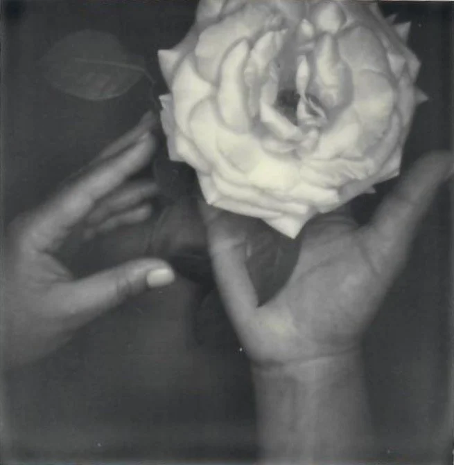 Screen Shot 2024-08-01 at 12.55.02 AM.jpeg