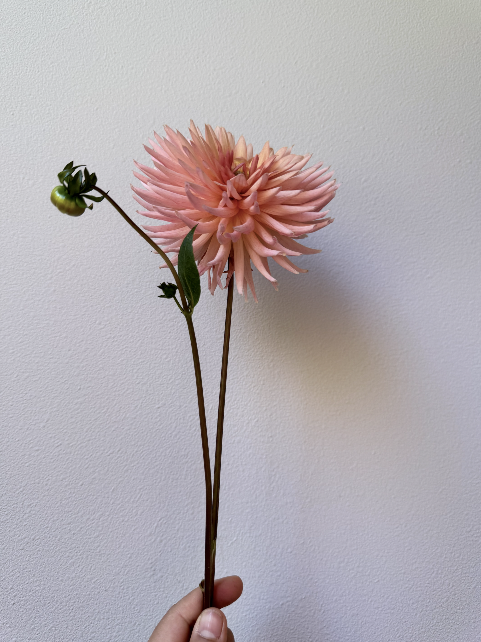 Screenshot 2026-02-14 at 12.31.31 AM.png