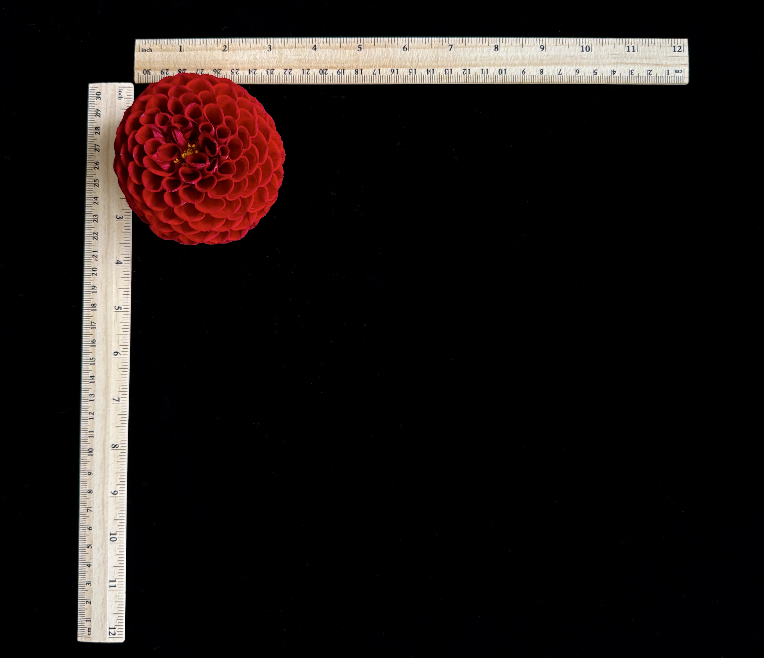 Screen Shot 2025-02-09 at 2.44.09 PM.png