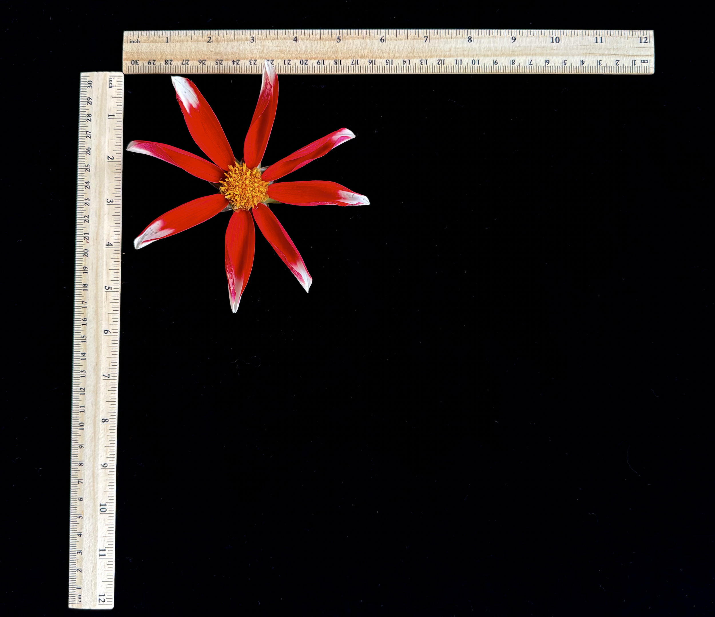 Screen Shot 2025-02-09 at 2.40.36 PM.png