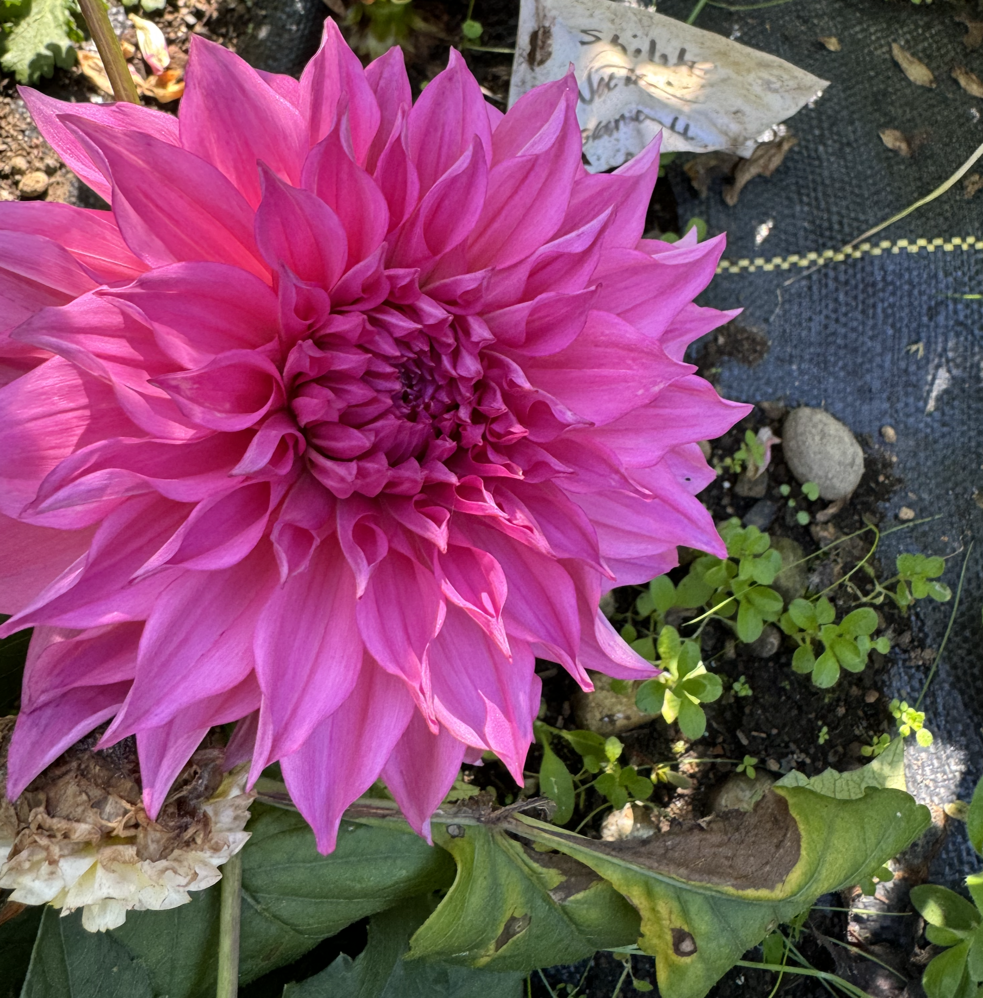 Screenshot 2026-02-14 at 10.19.59 AM.png