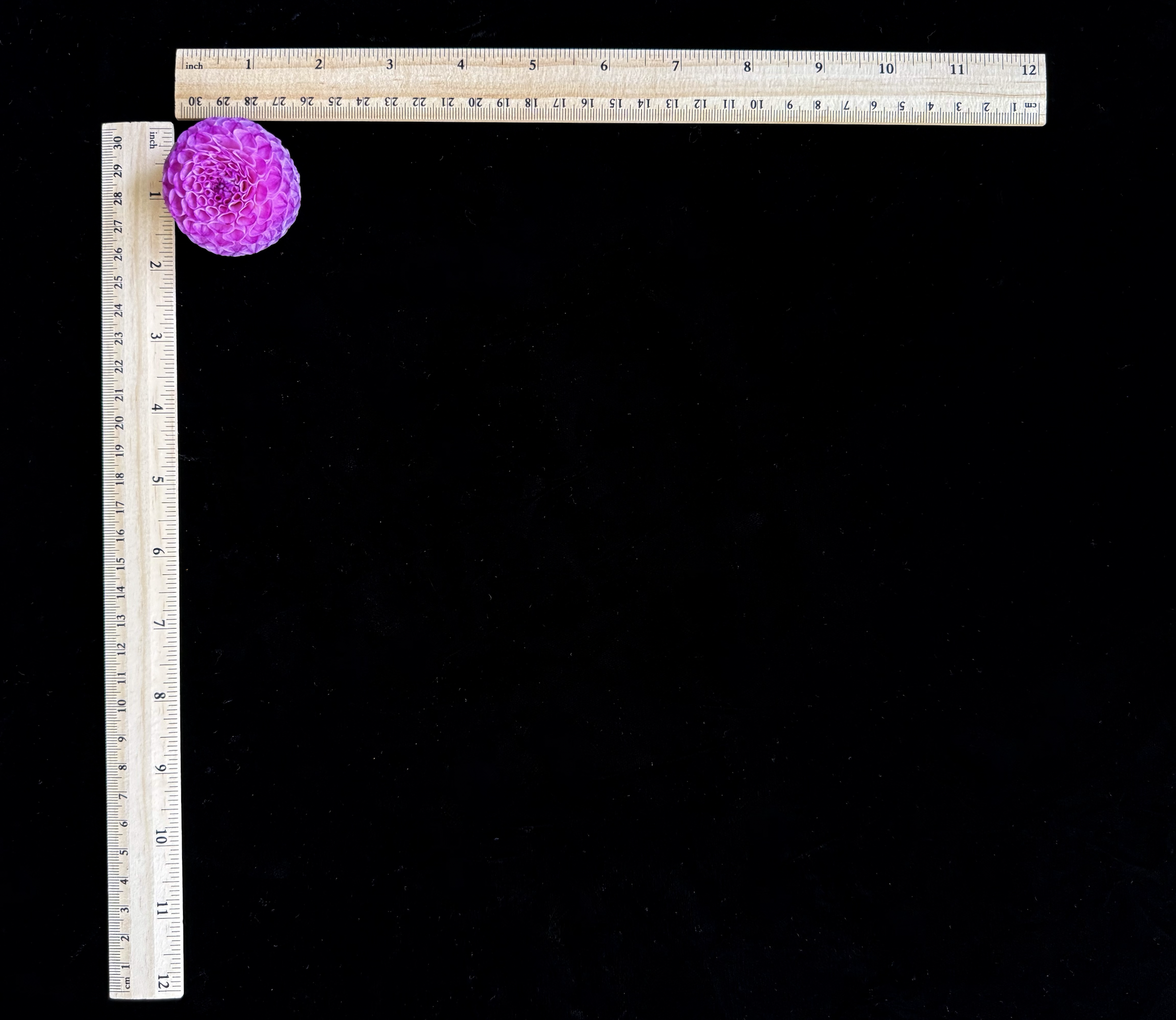 Screen Shot 2025-02-09 at 2.29.32 PM.png