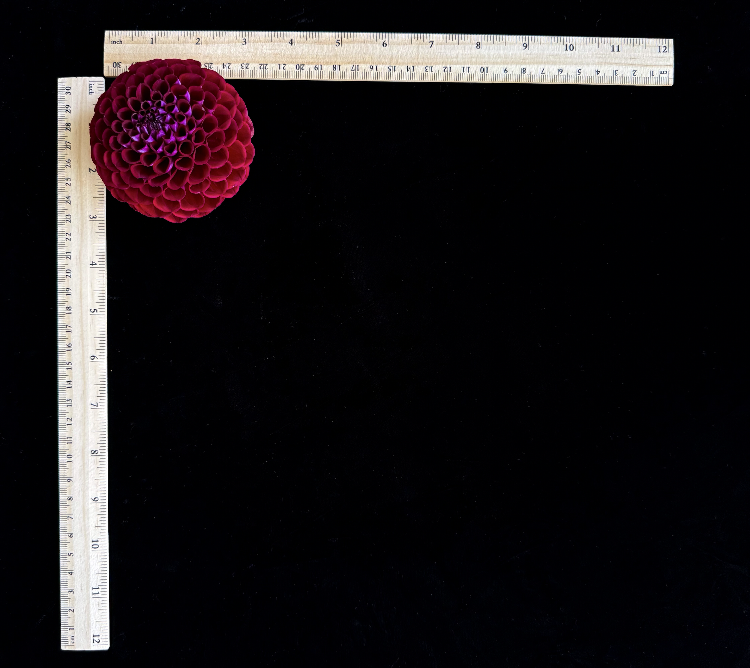 Screen Shot 2025-02-09 at 2.27.33 PM.png