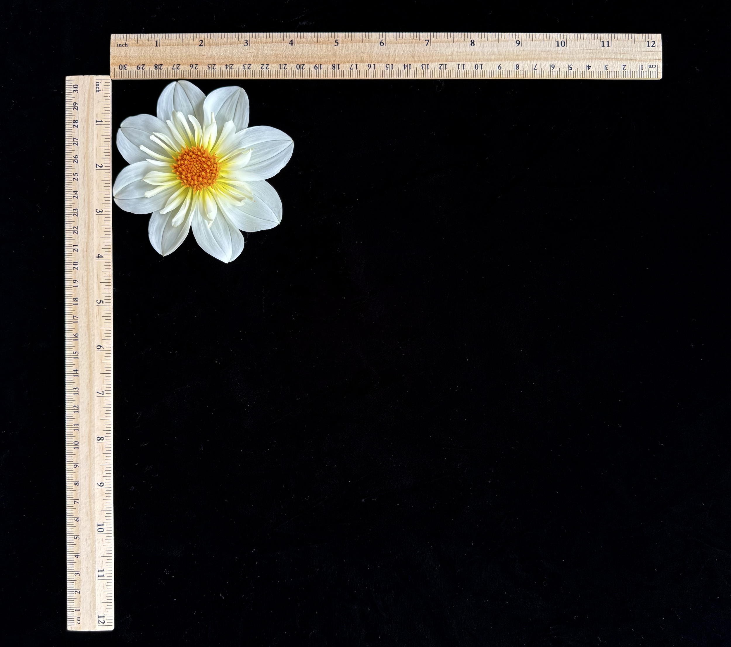 Screen Shot 2025-02-09 at 2.23.29 PM.png