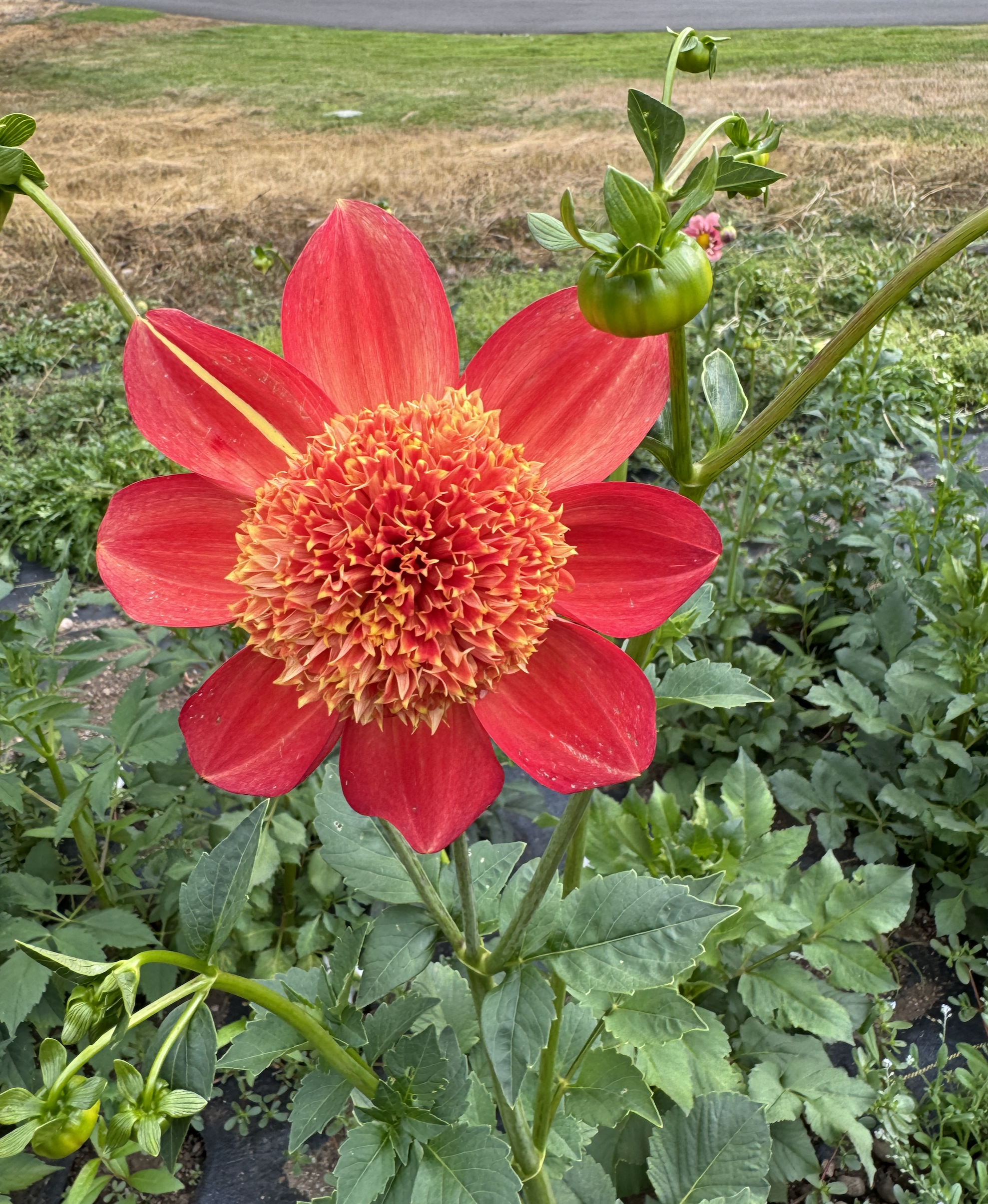 Screenshot 2026-02-14 at 9.57.34 AM.png