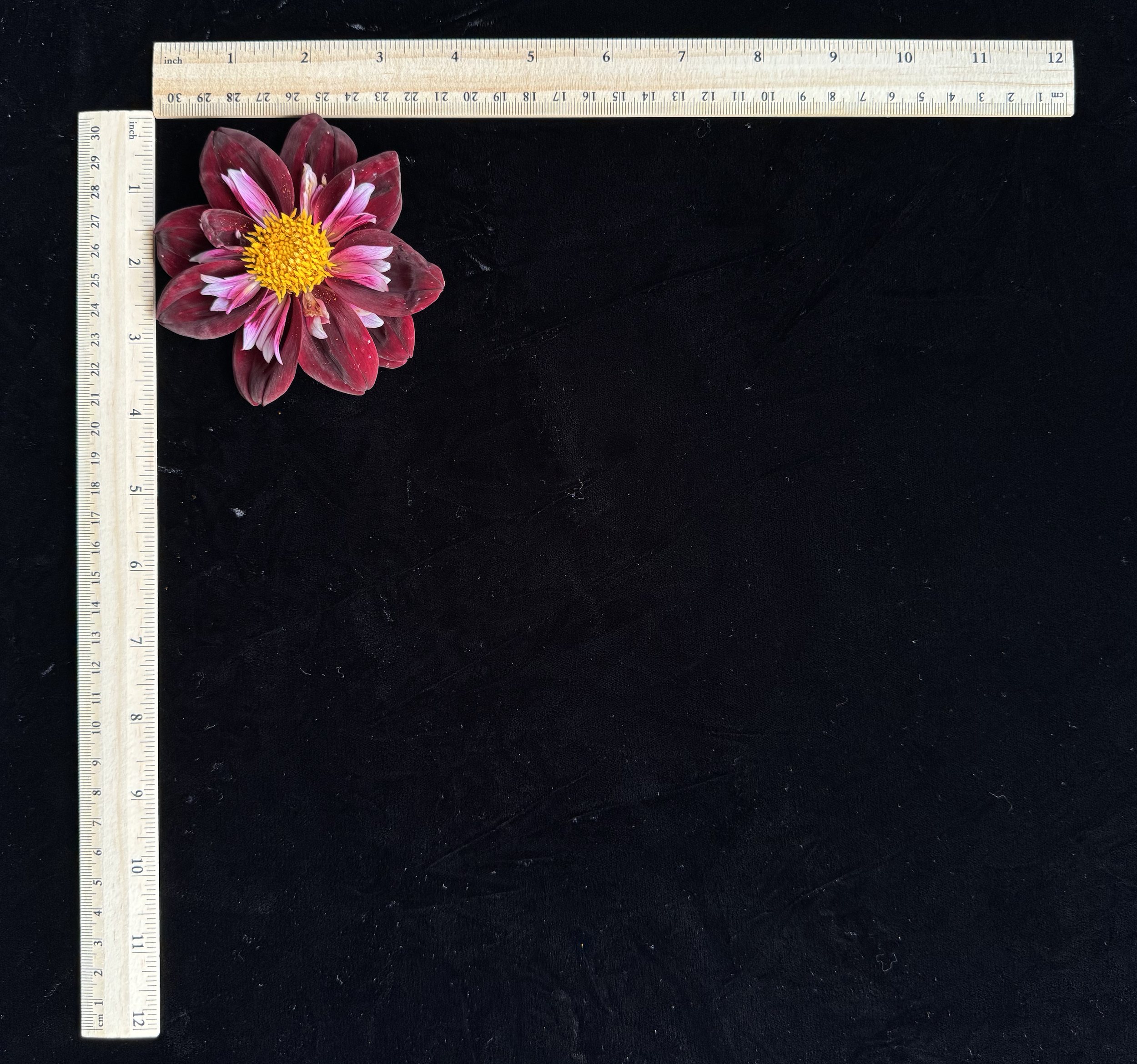 Screenshot 2026-02-14 at 9.53.08 AM.png