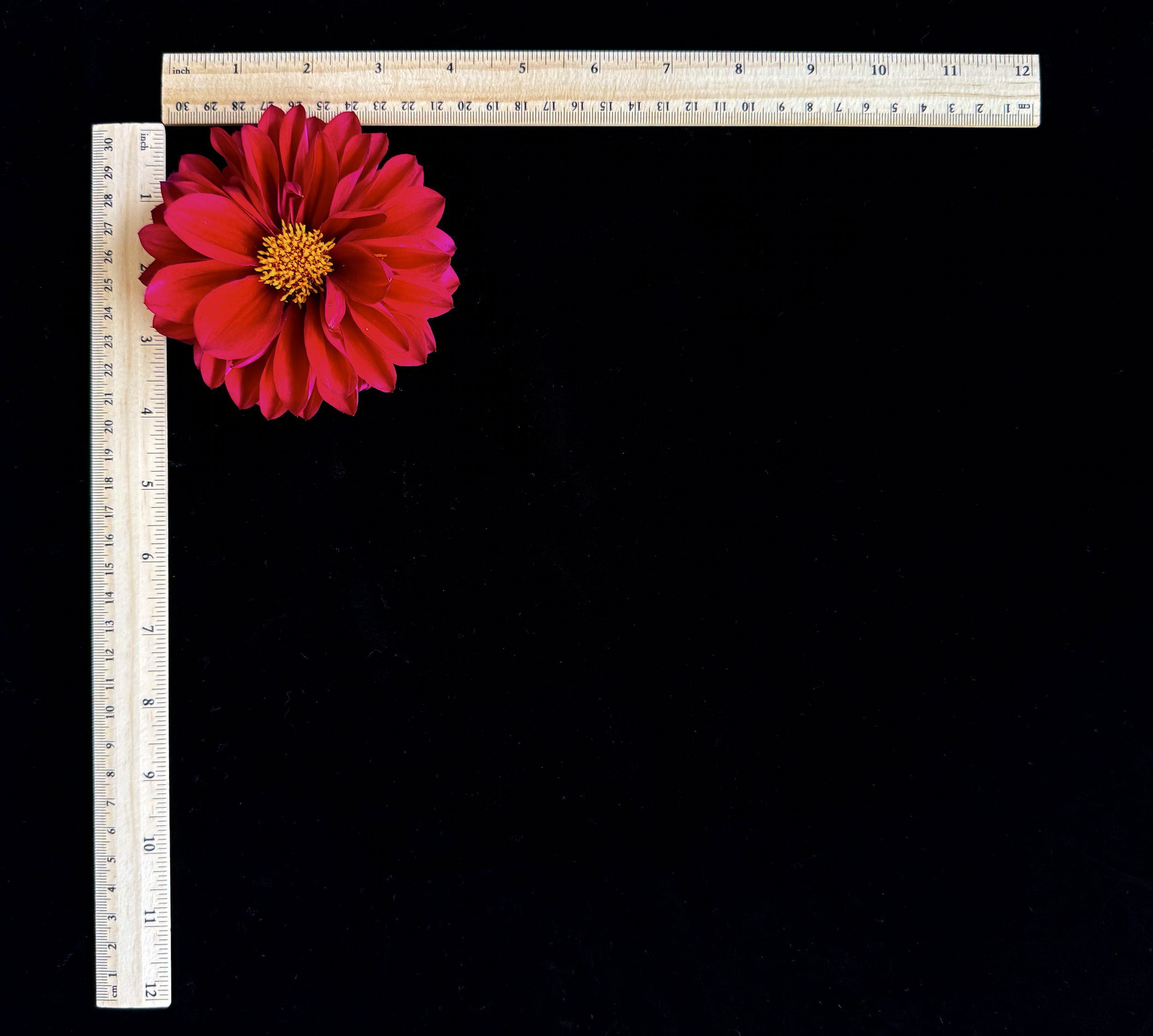 Screen Shot 2025-02-09 at 2.27.03 PM.png