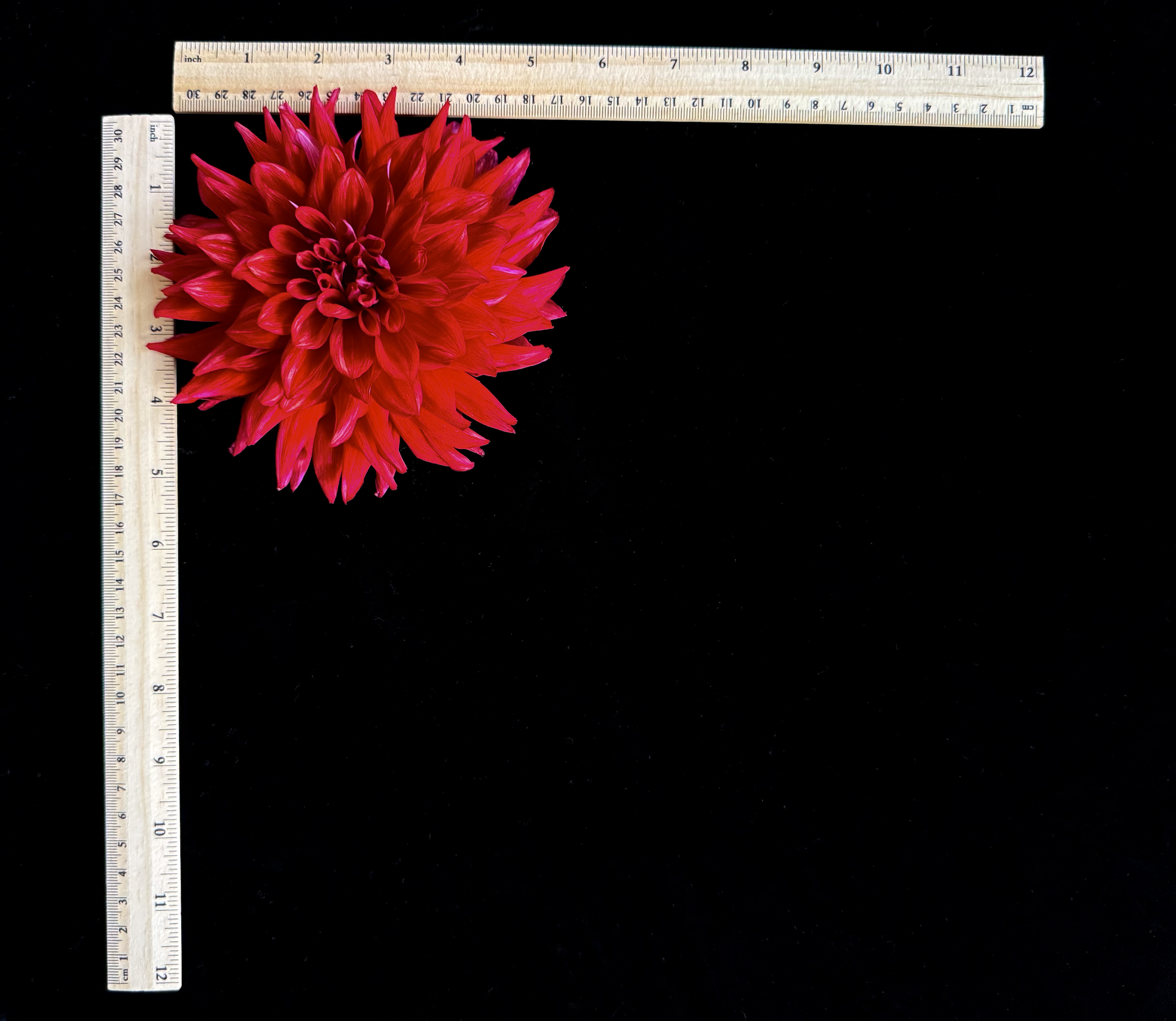 Screen Shot 2025-02-09 at 2.28.28 PM.png