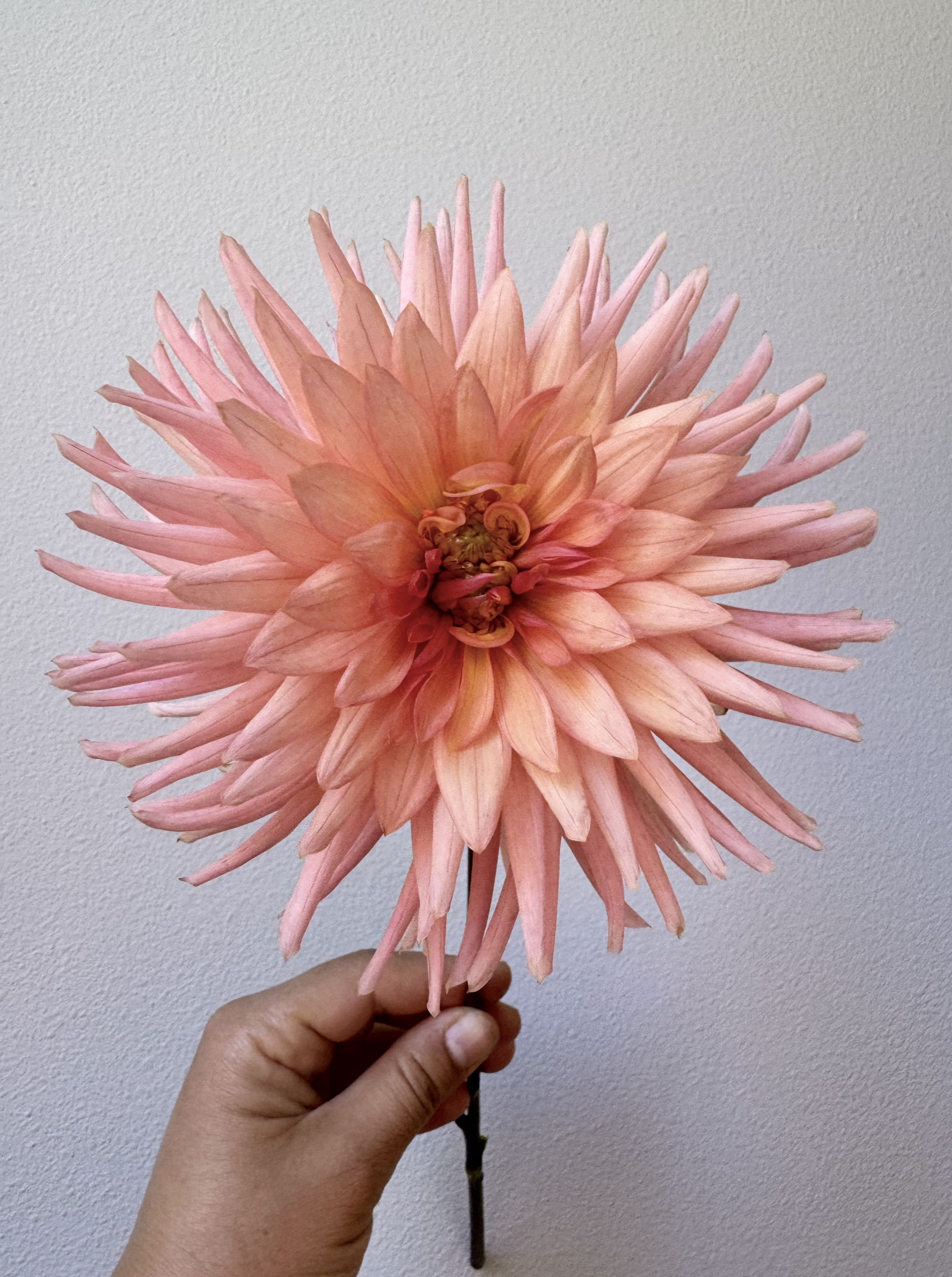 Screenshot 2026-02-14 at 12.31.18 AM.png