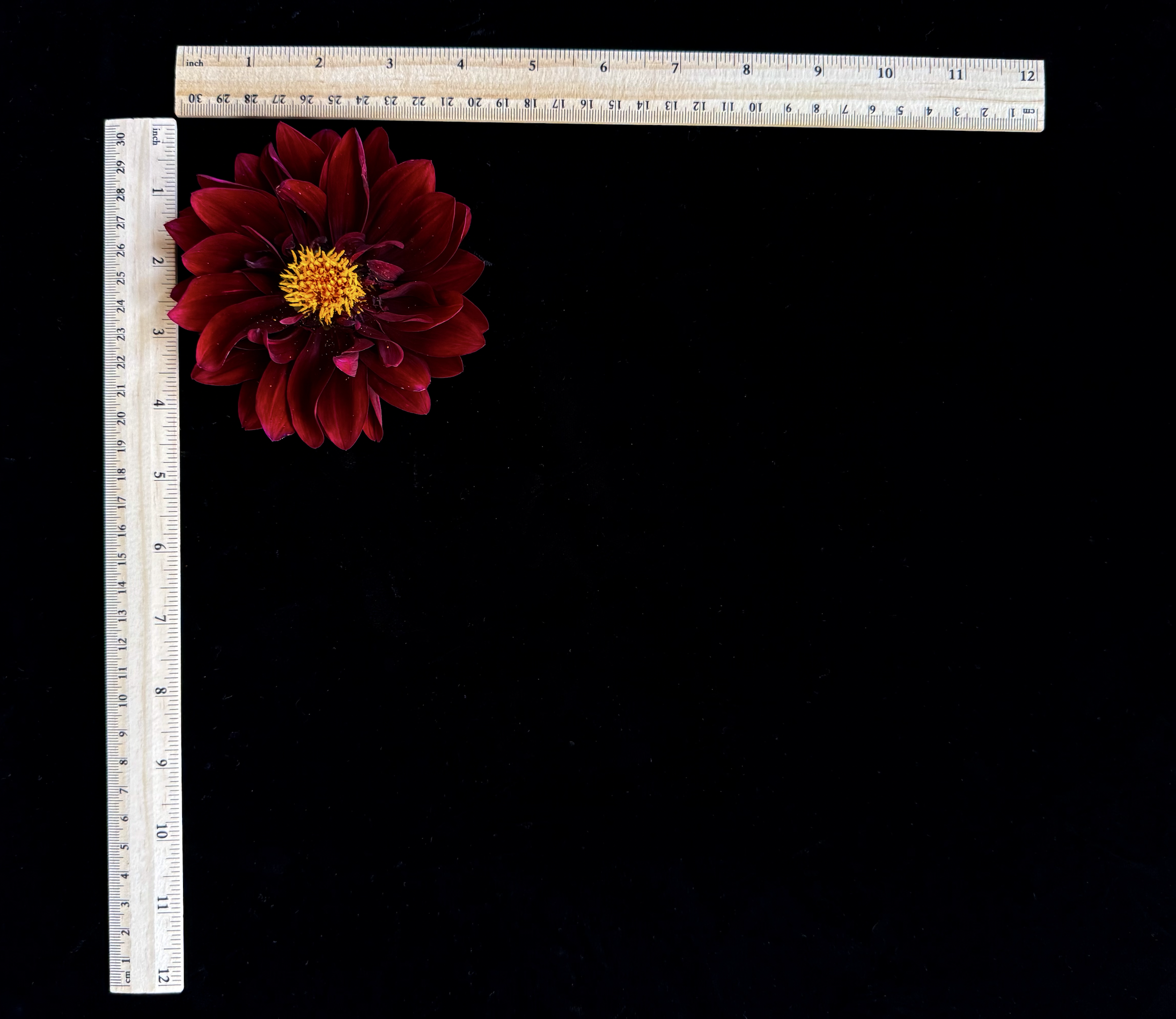 Screen Shot 2025-02-09 at 2.28.18 PM.png