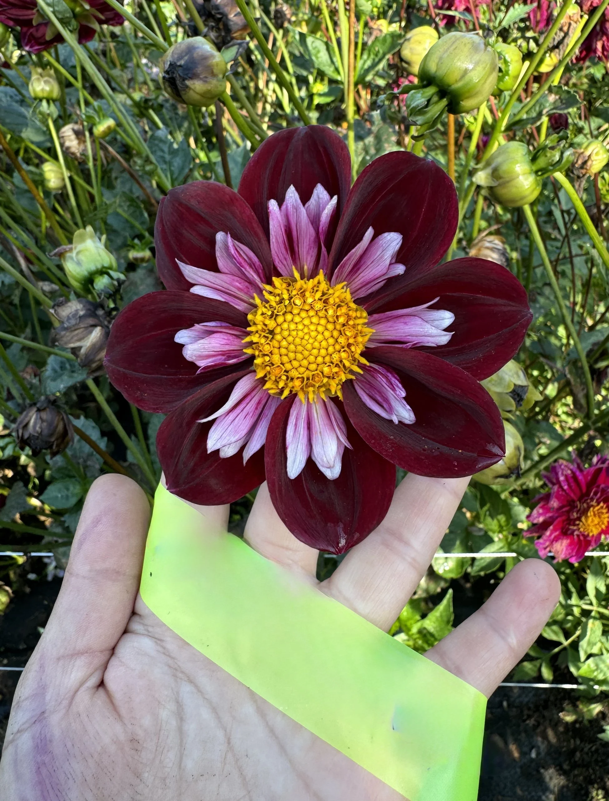 Screenshot 2026-02-14 at 9.49.02 AM.jpg