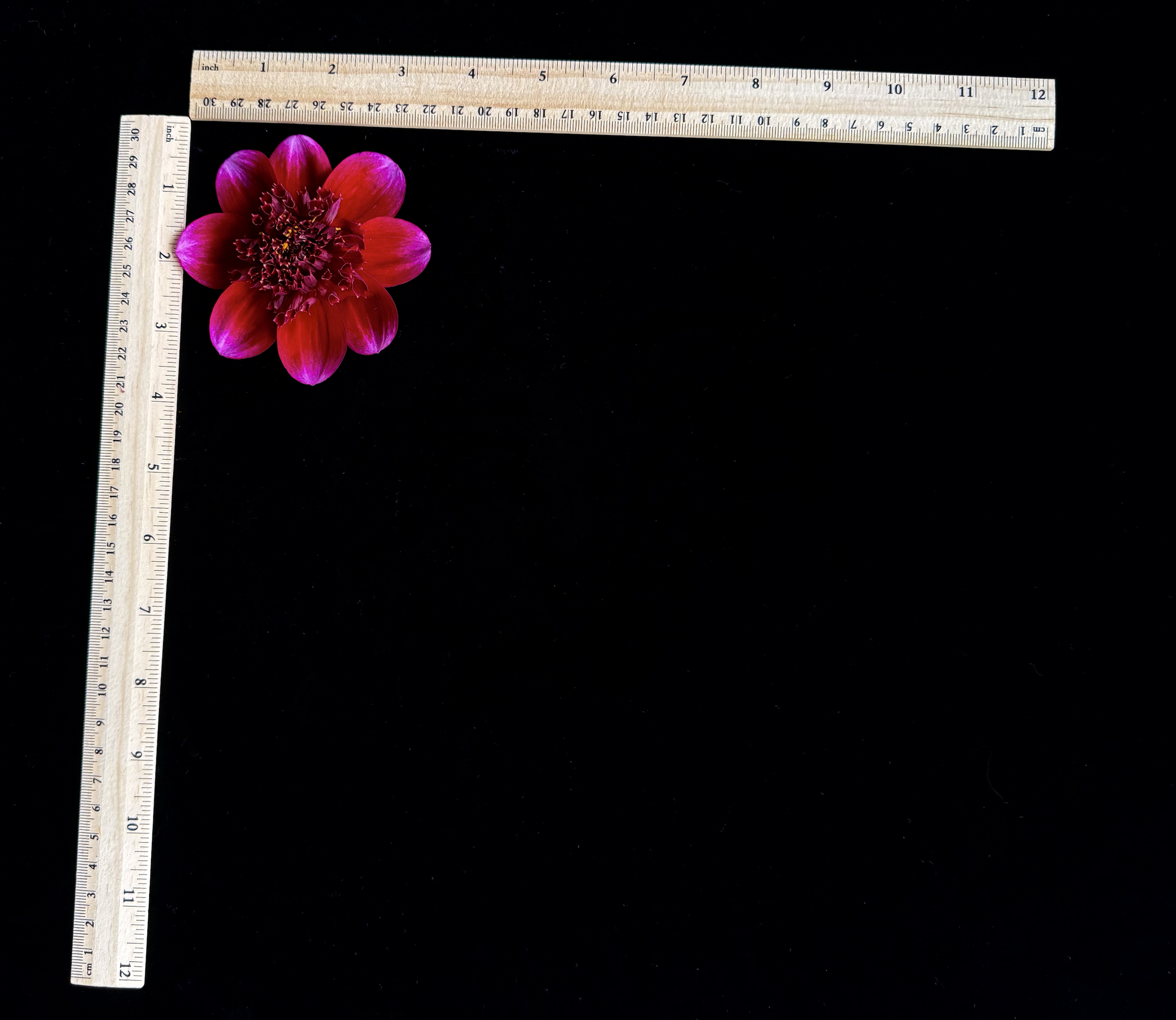 Screen Shot 2025-02-09 at 2.40.21 PM.png