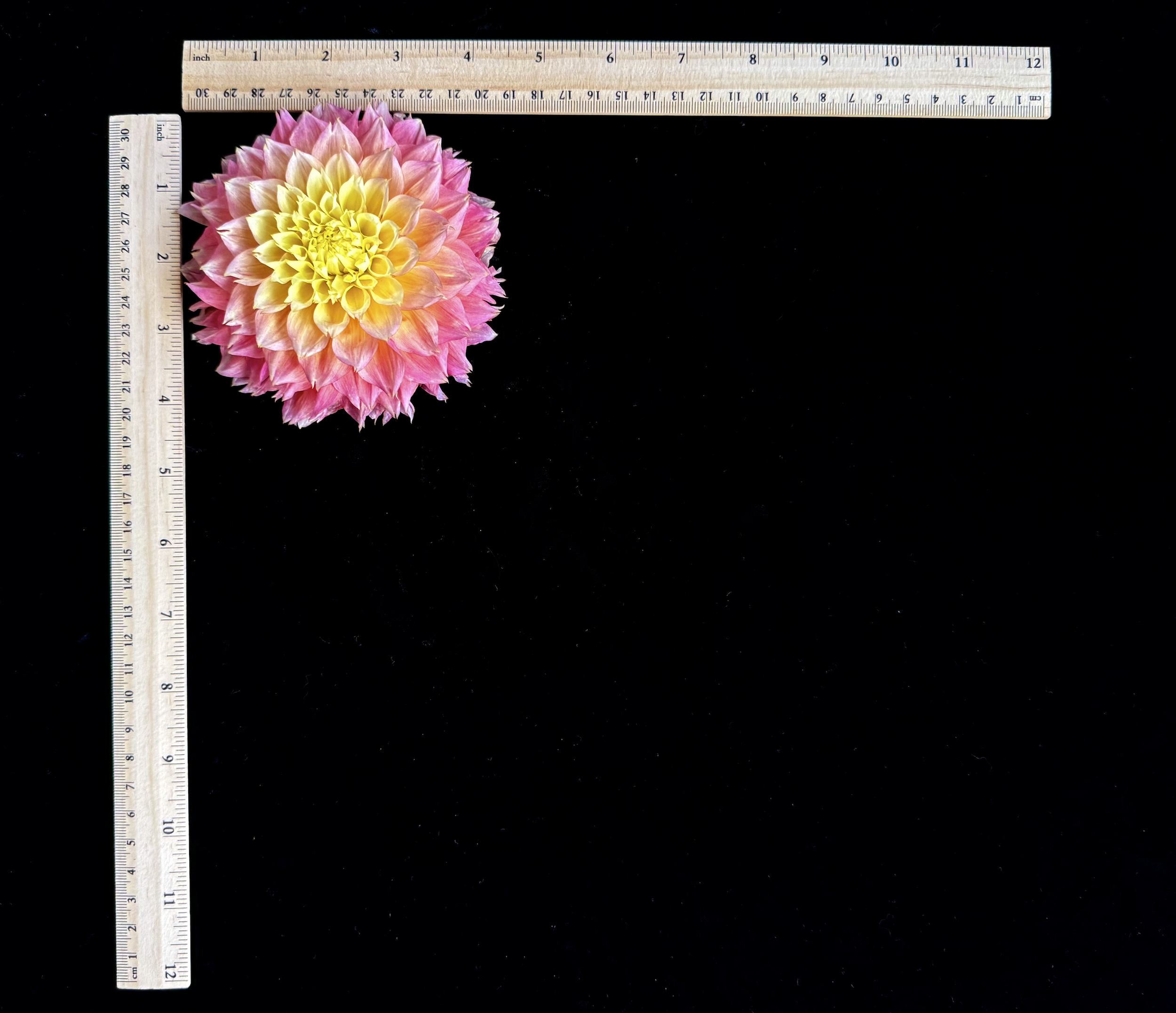 Screen Shot 2025-02-09 at 2.30.18 PM.png