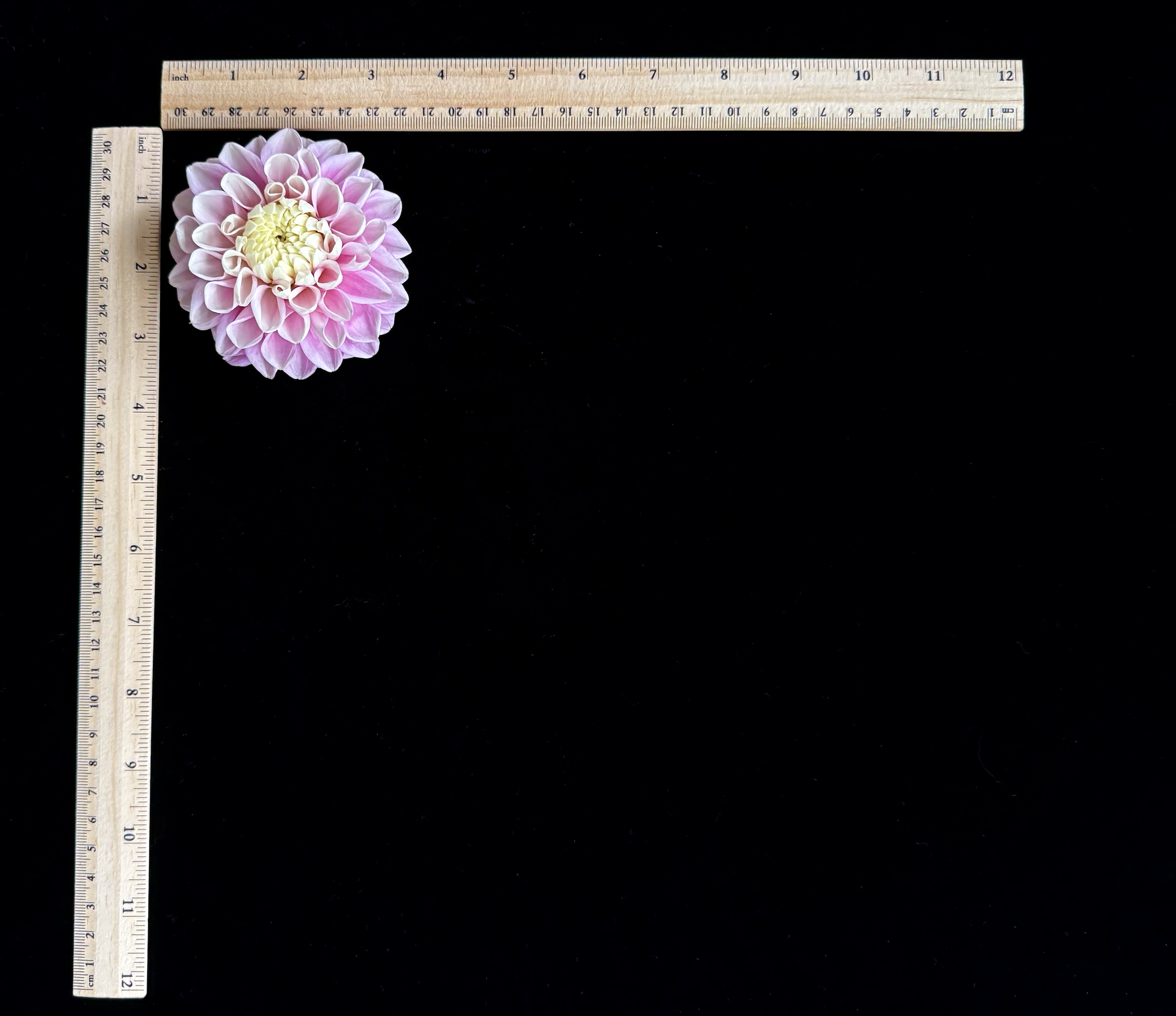 Screen Shot 2025-02-09 at 2.40.50 PM.png