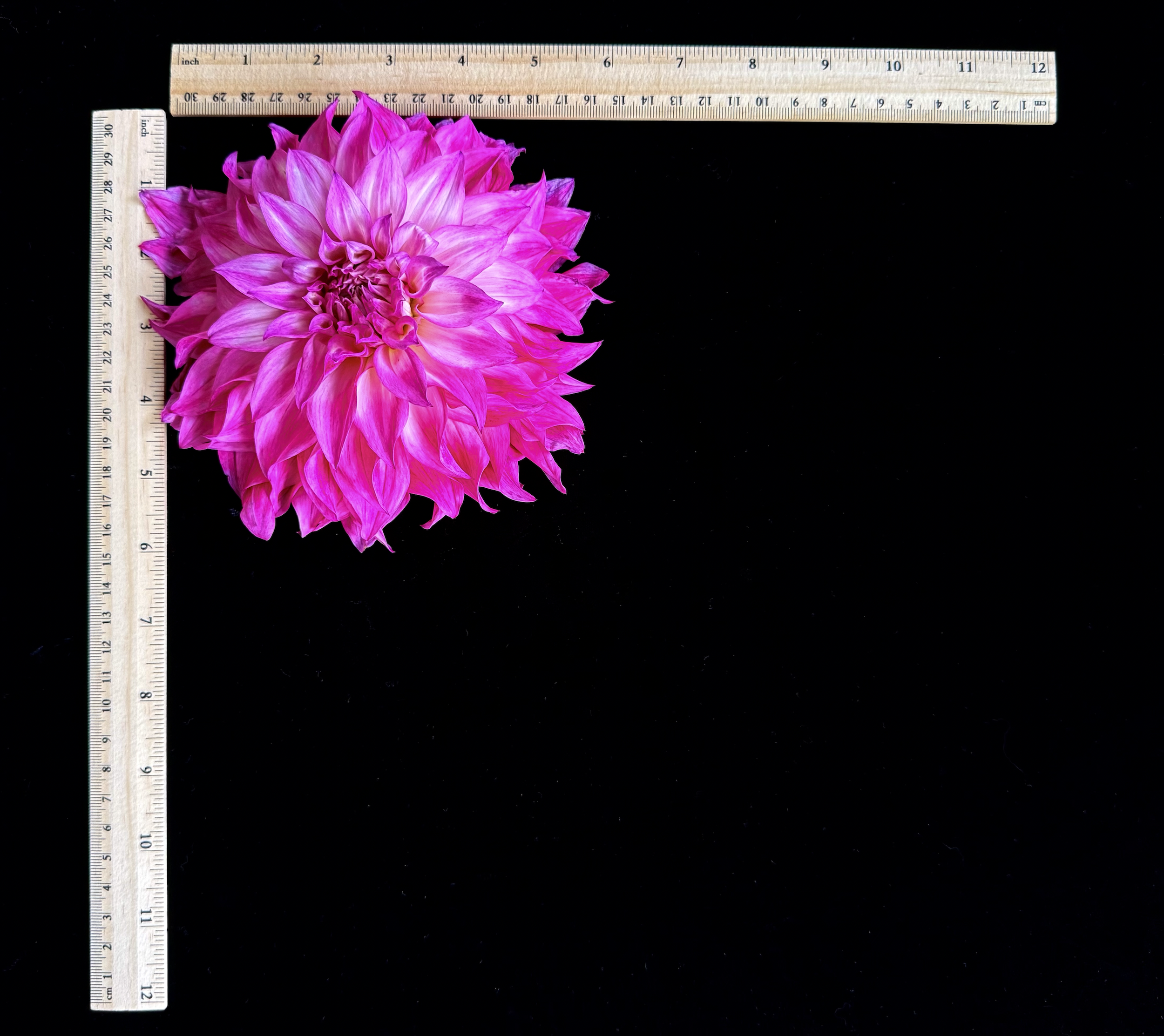 Screen Shot 2025-02-09 at 2.32.45 PM.png