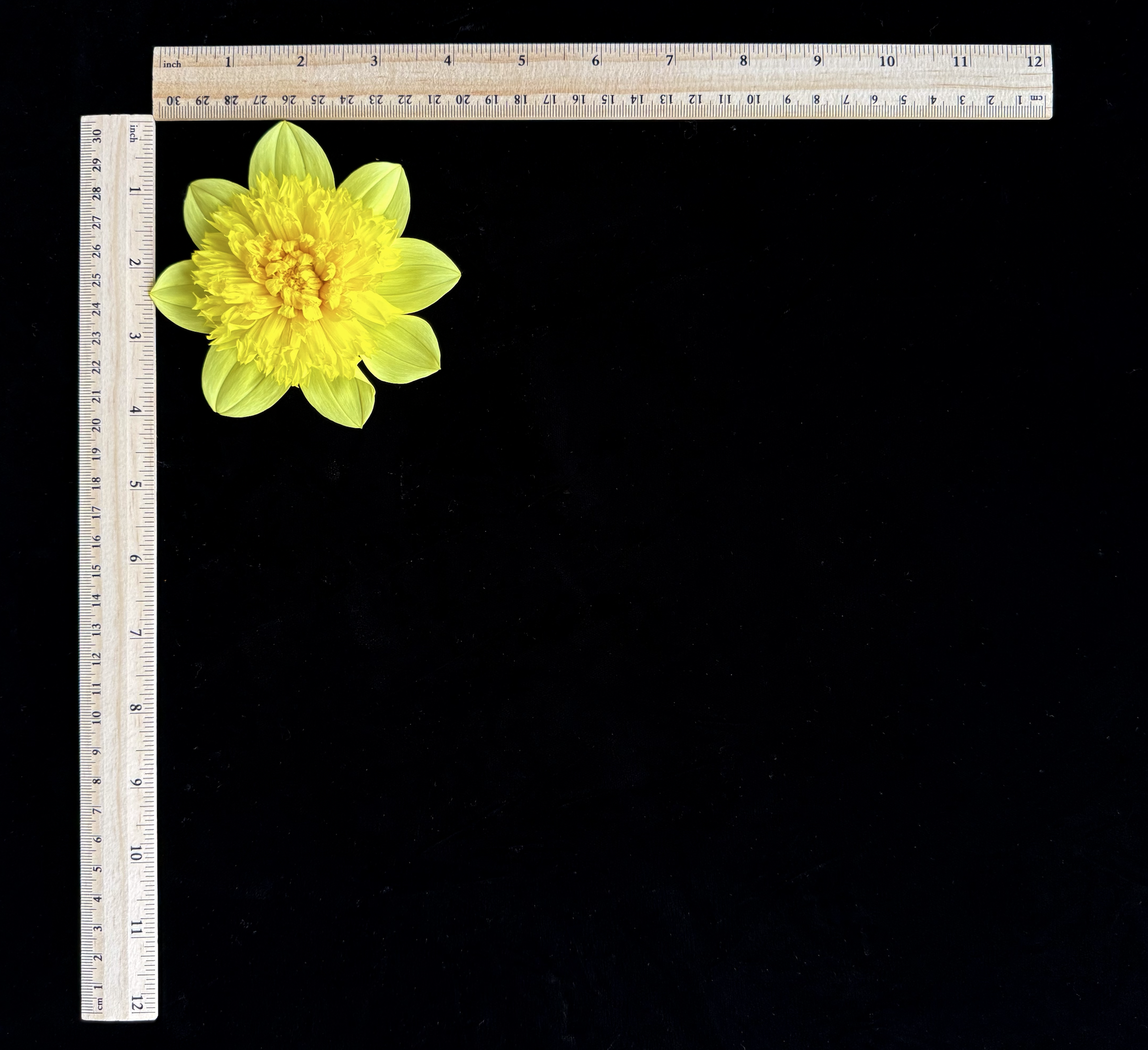 Screen Shot 2025-02-09 at 2.23.53 PM.png