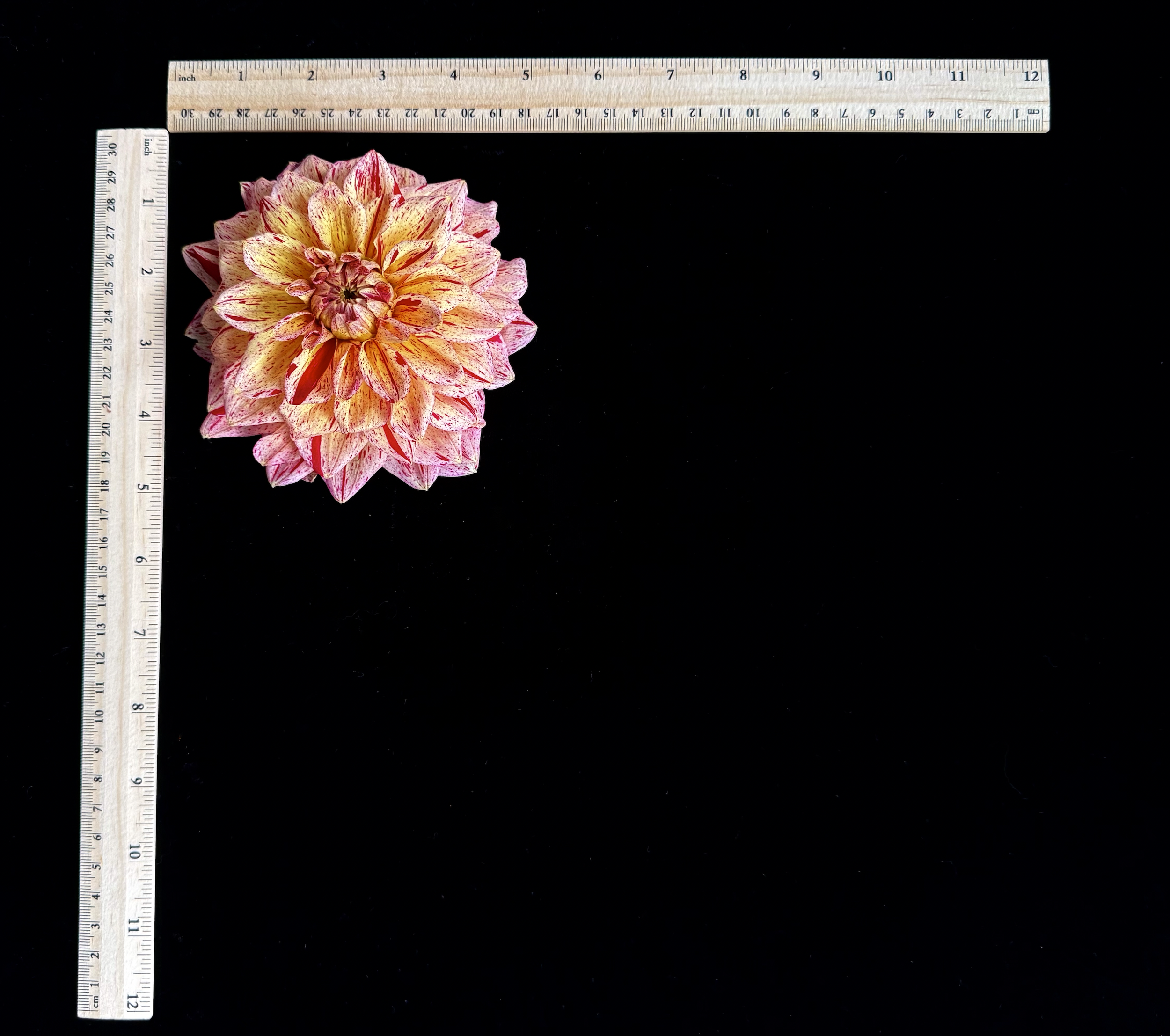 Screen Shot 2025-02-09 at 2.40.43 PM.png