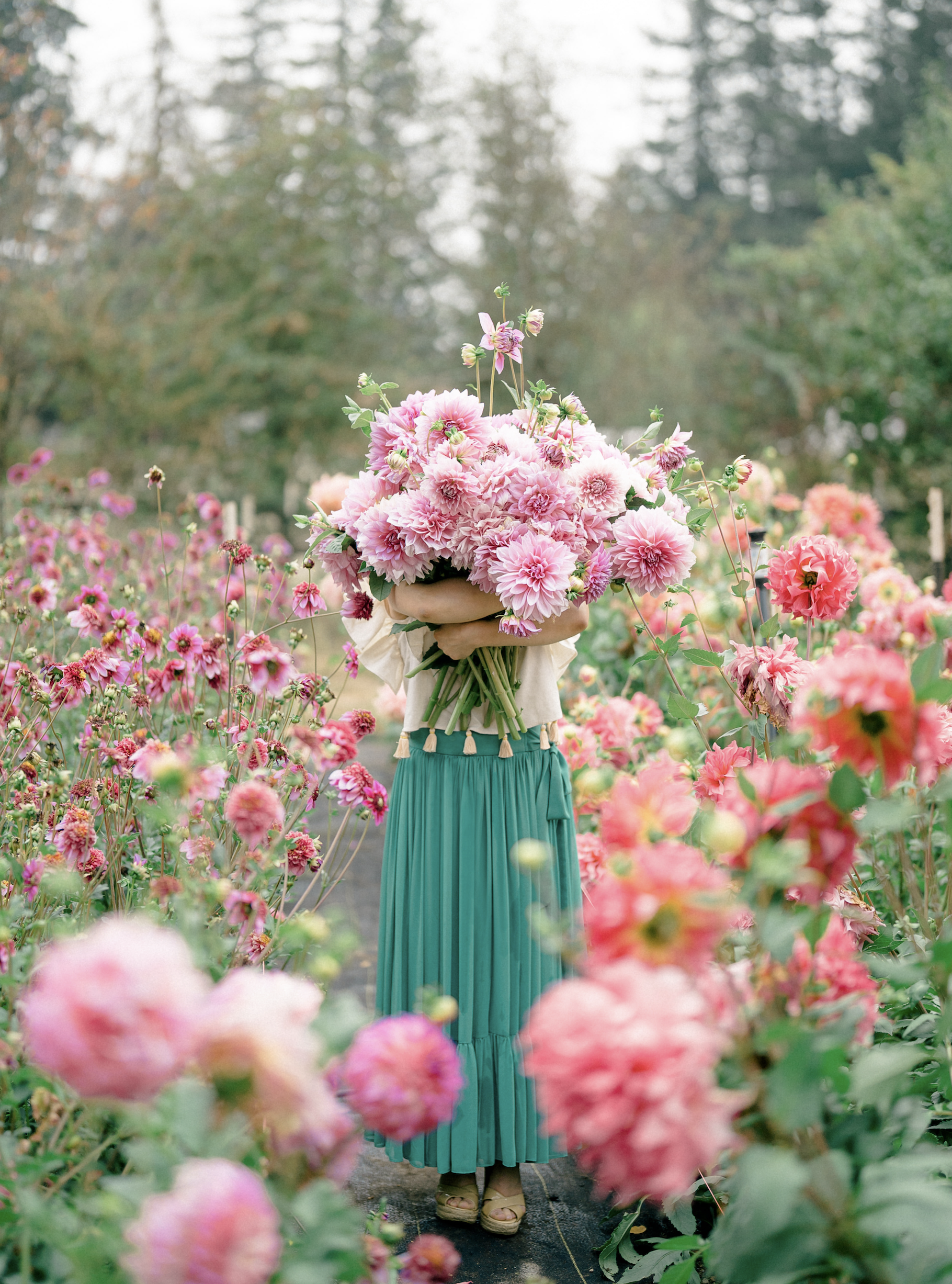 Screen Shot 2024-12-04 at 1.17.25 PM.png