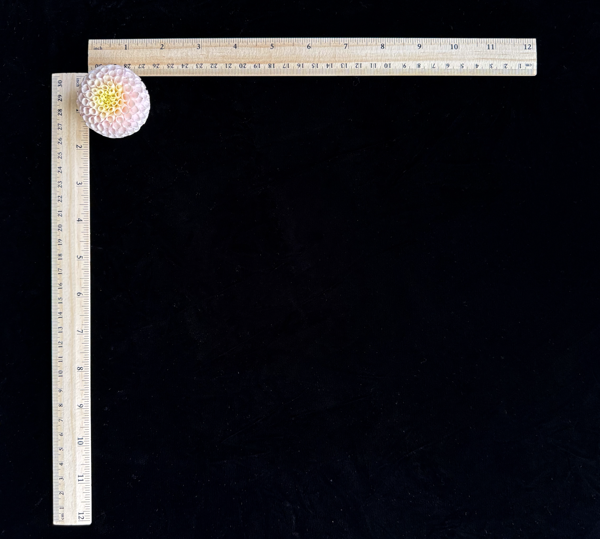 Screen Shot 2025-02-09 at 1.22.18 PM.png