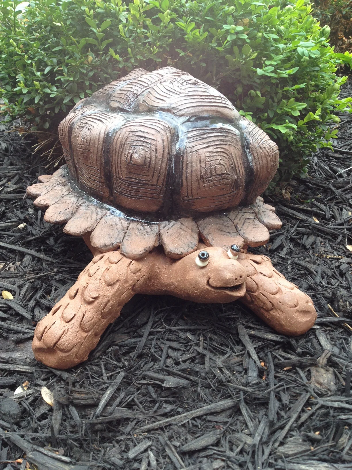 judy turtle.jpg