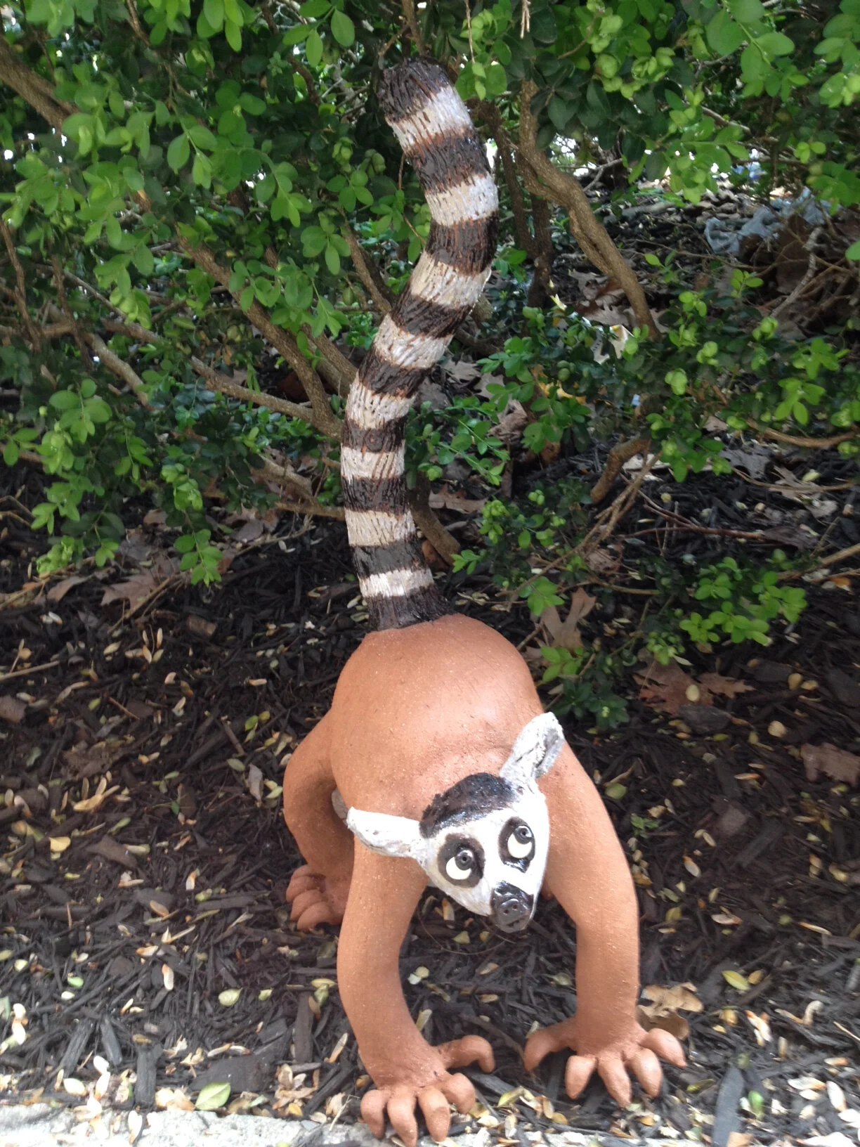 lemur.jpg