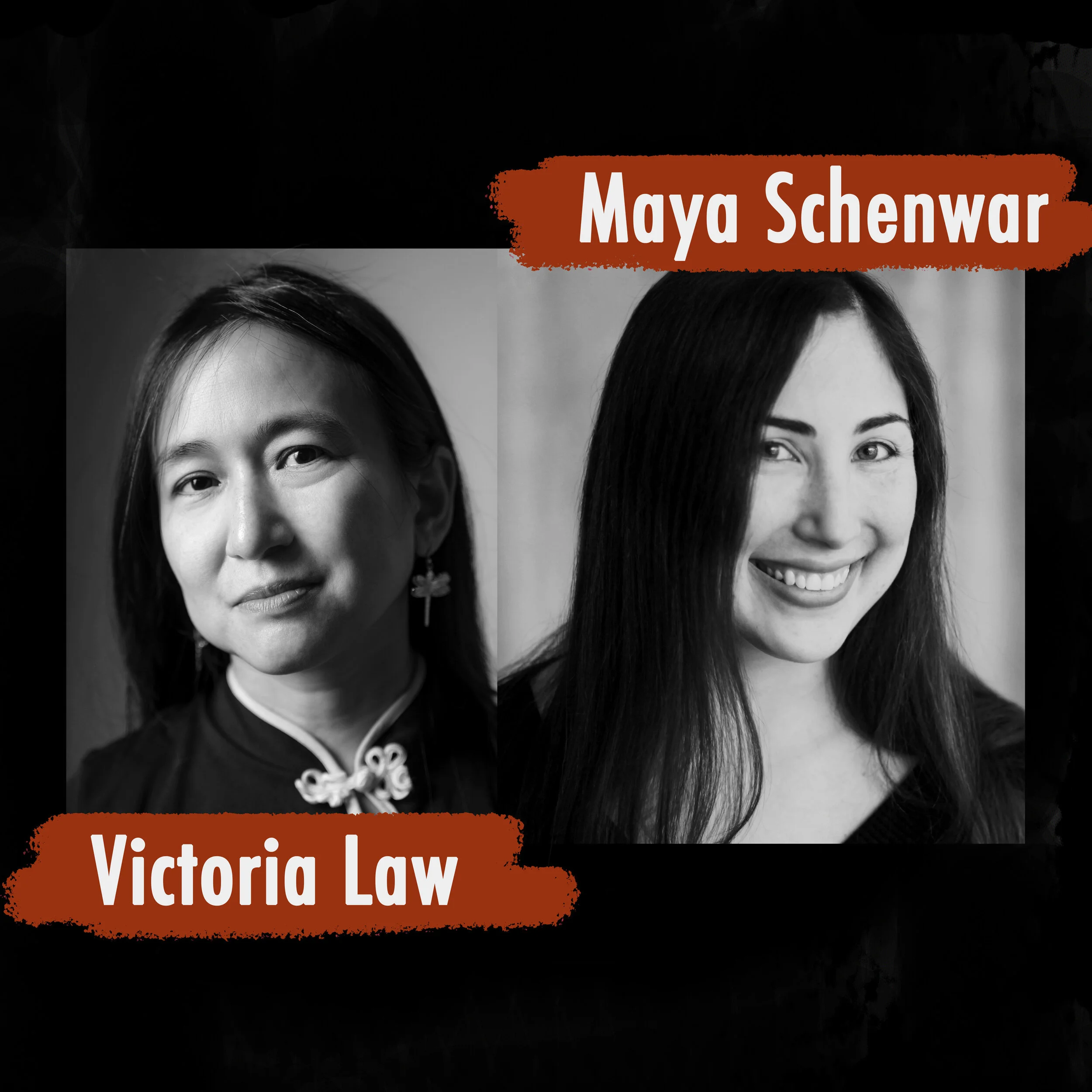 Prison By Any Other Name Feat. Maya Schenwar &amp; Victoria Law