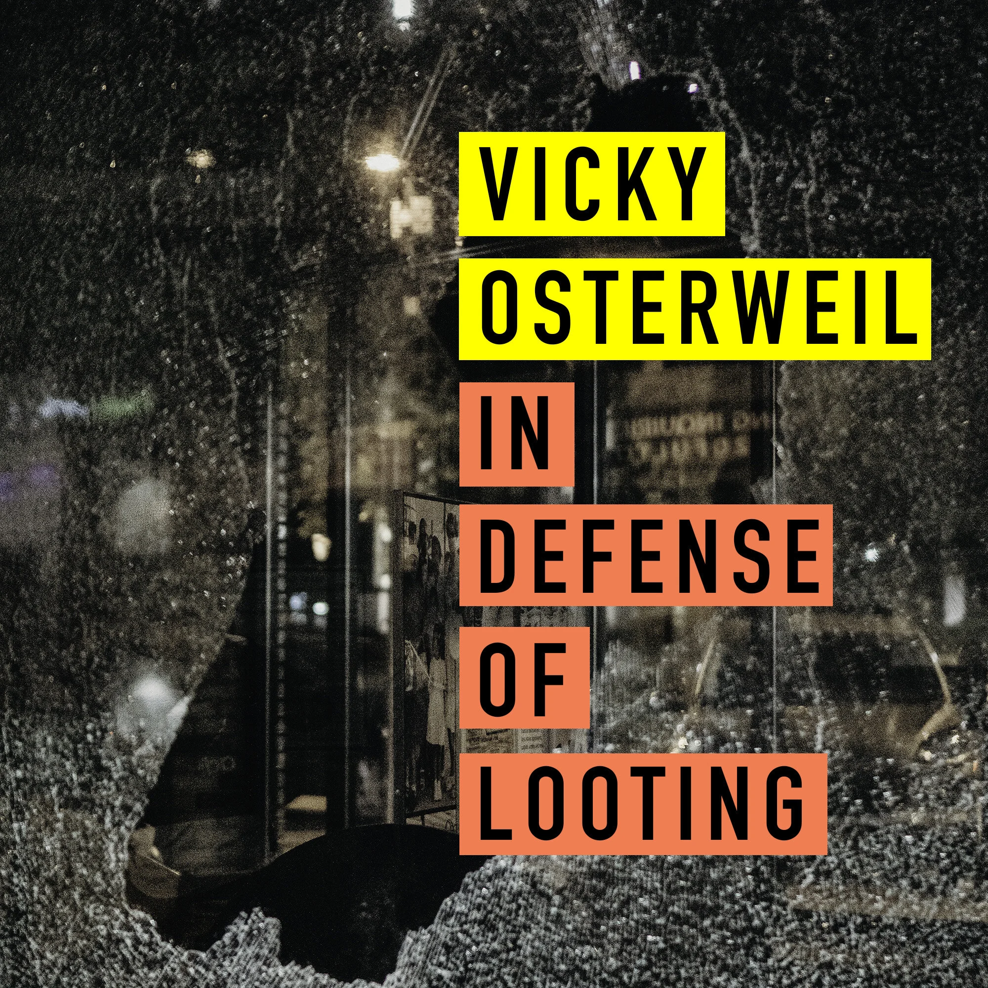 In Defense Of Looting Feat. Vicky Osterweil