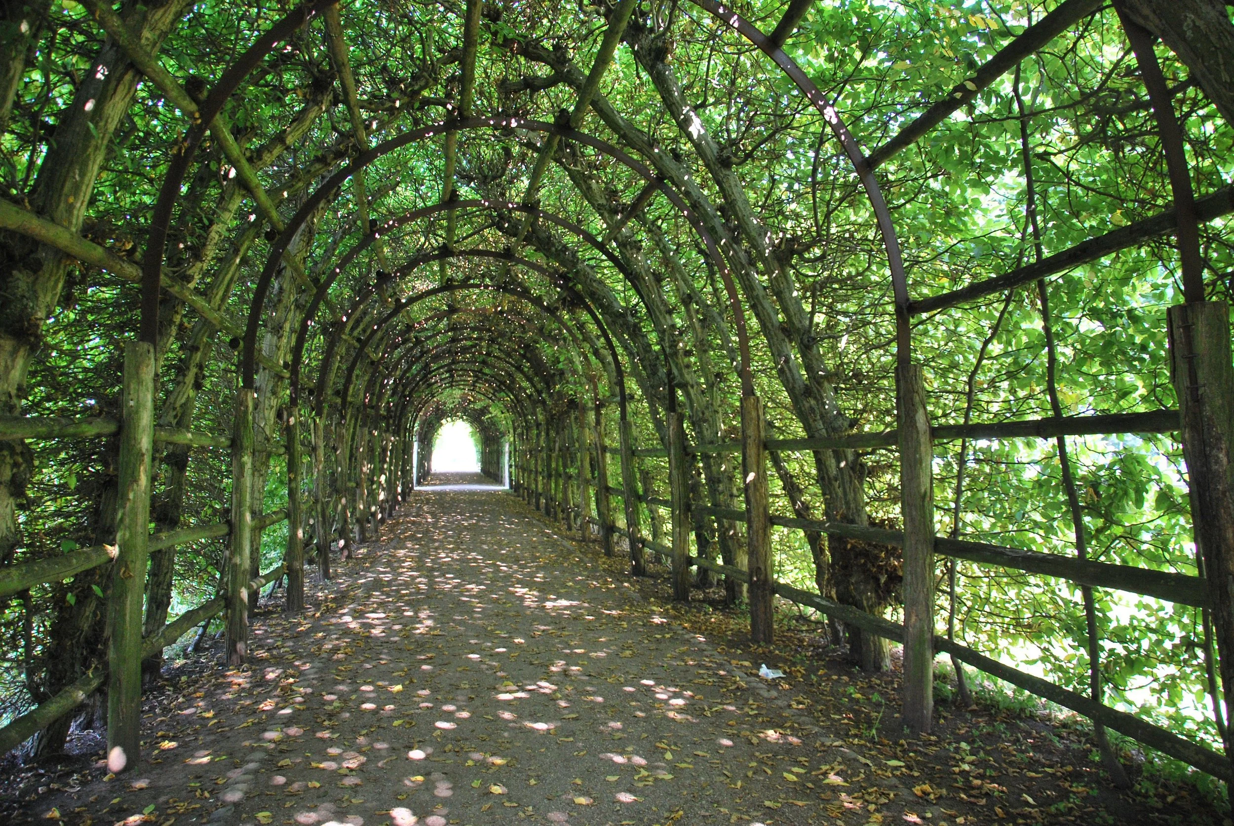 irebru-tunnel-4918763.jpg