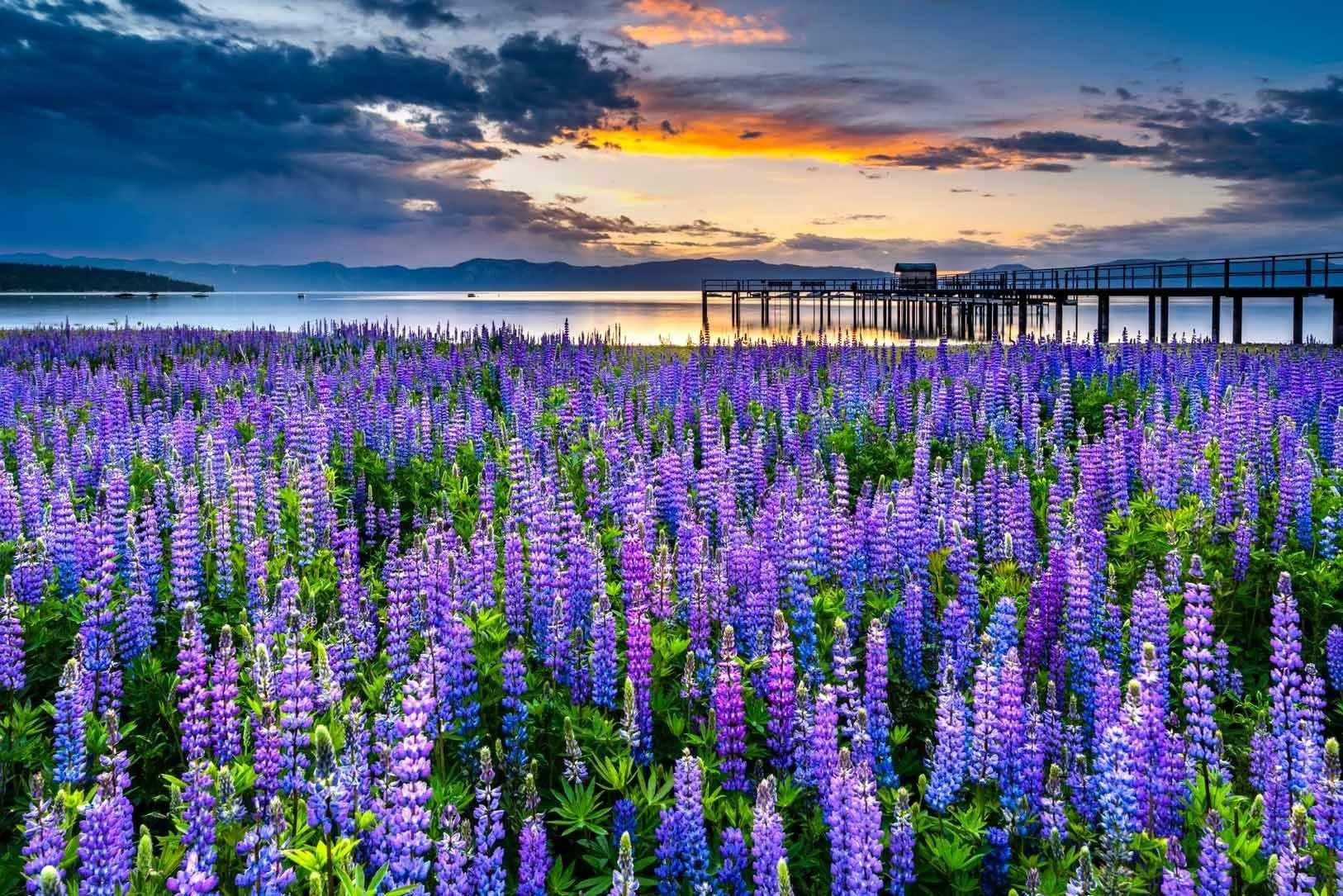 image-asset (14).jpeg