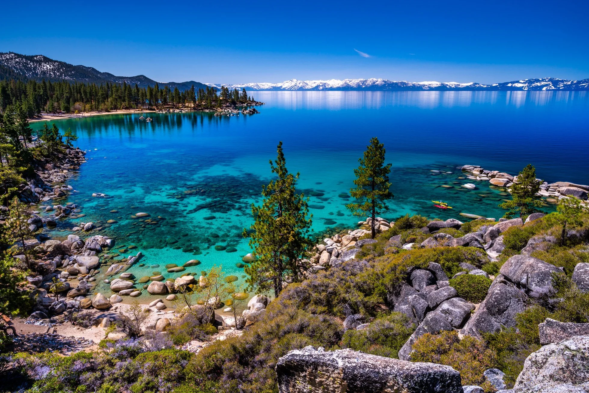 image-asset (26).jpeg