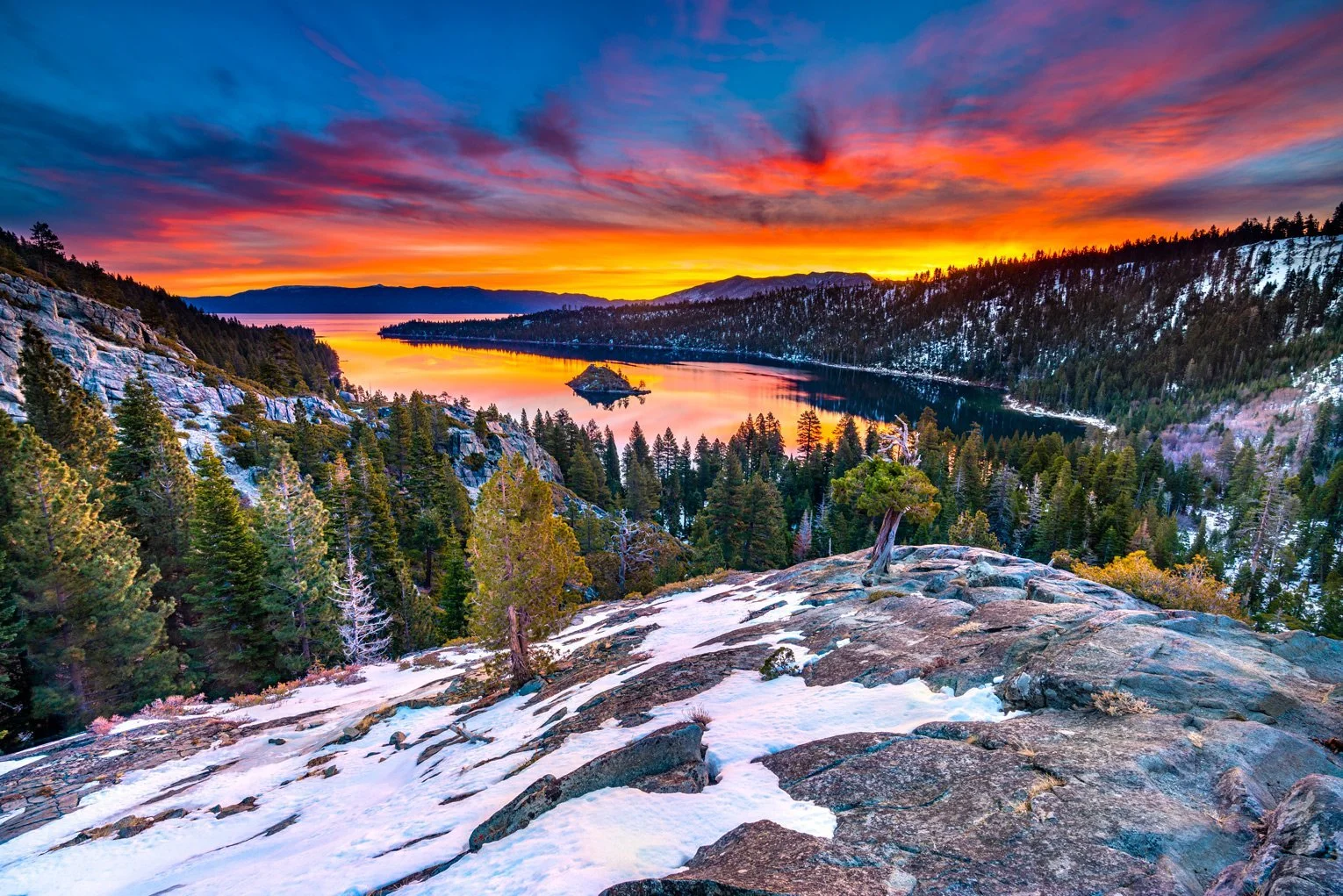 image-asset (17).jpeg