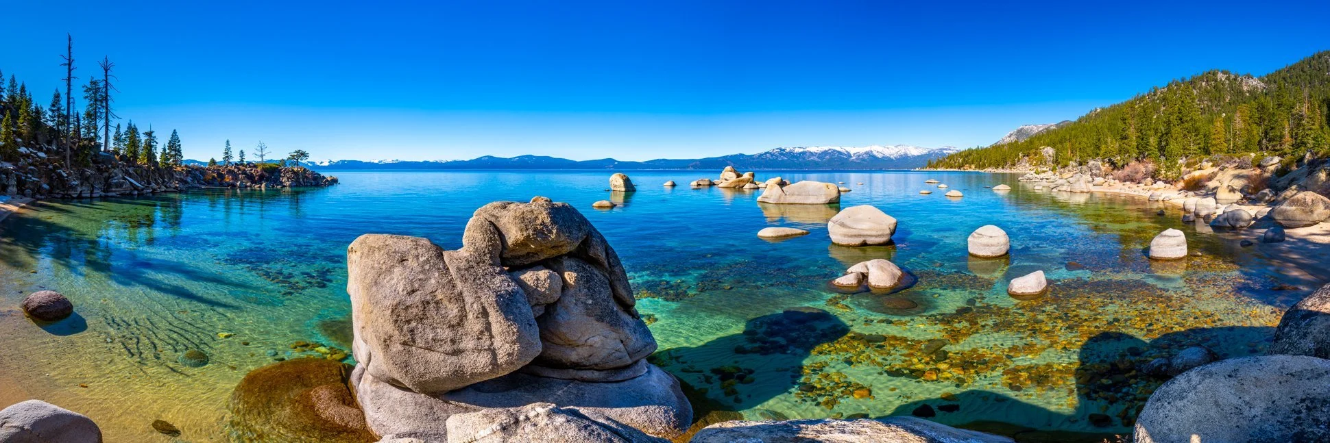 image-asset (8).jpeg