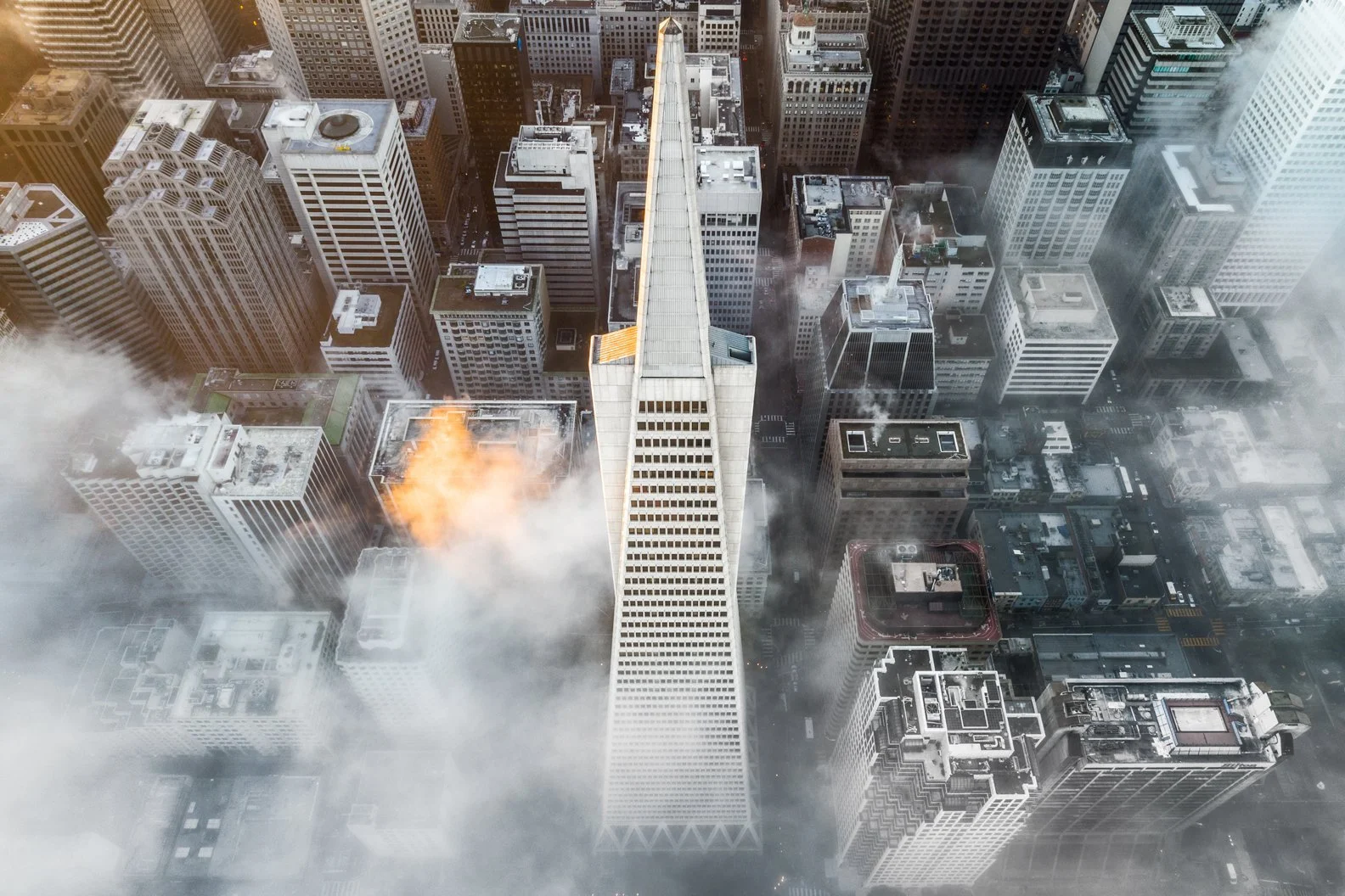 image-asset (10).jpeg