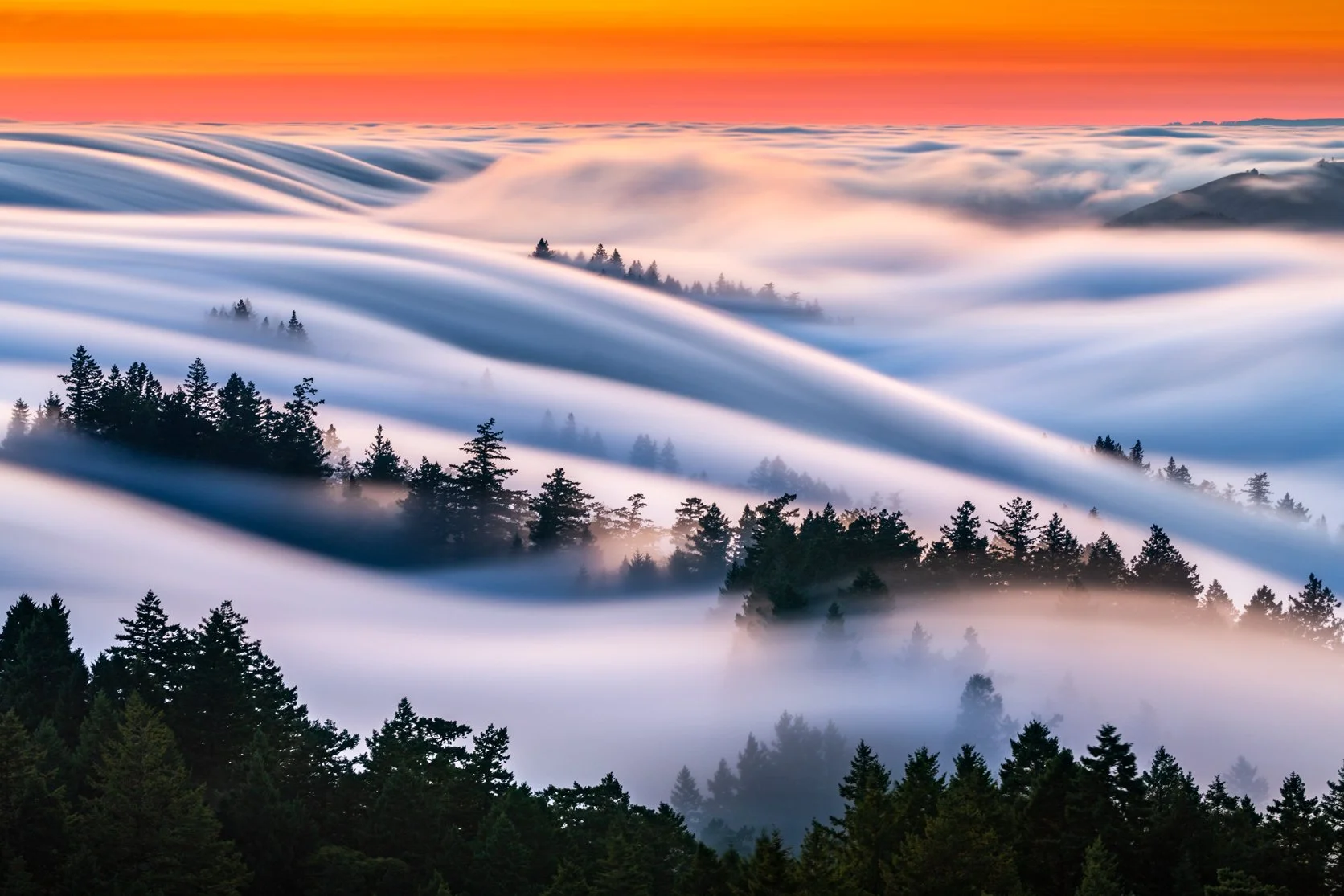 image-asset (12).jpeg