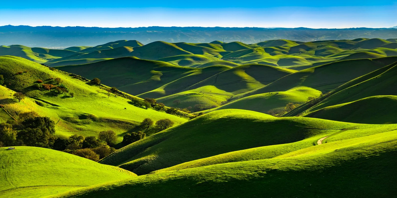 image-asset (18).jpeg