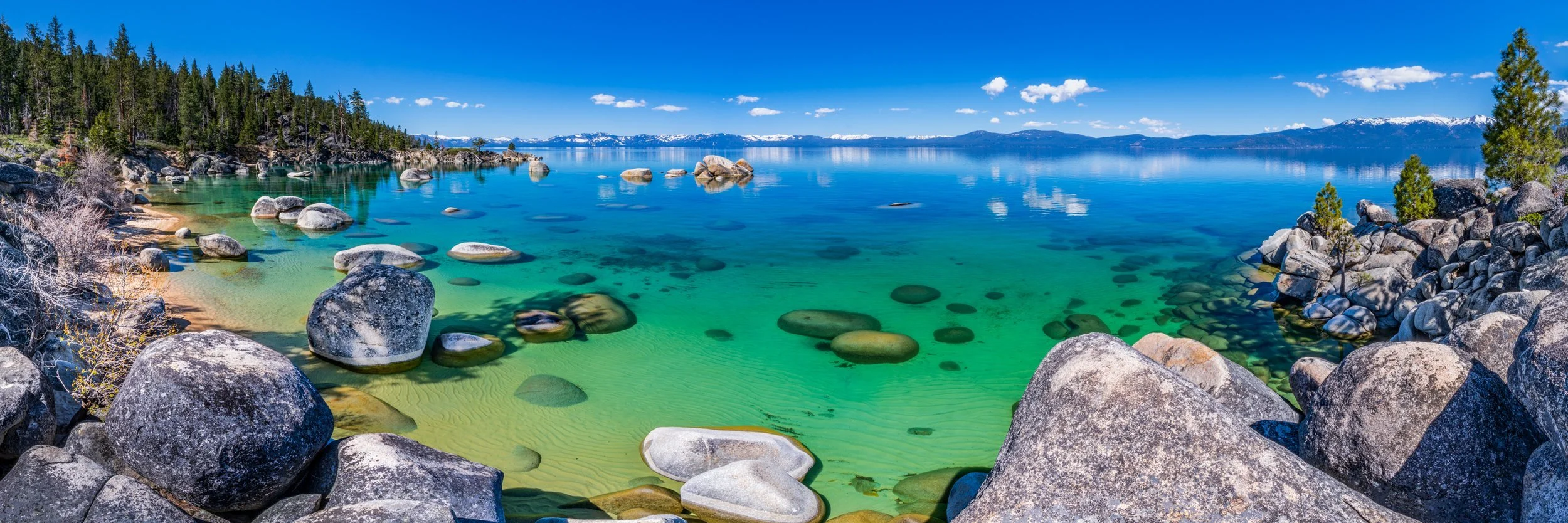 image-asset (30).jpeg