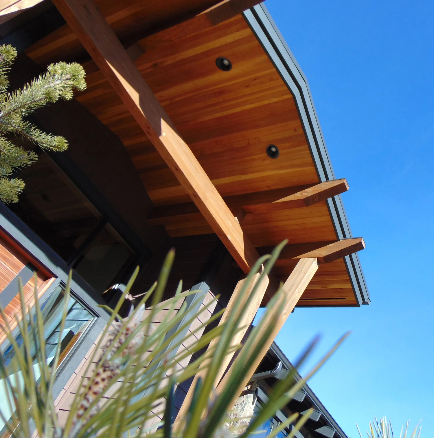 enclave architecture llc