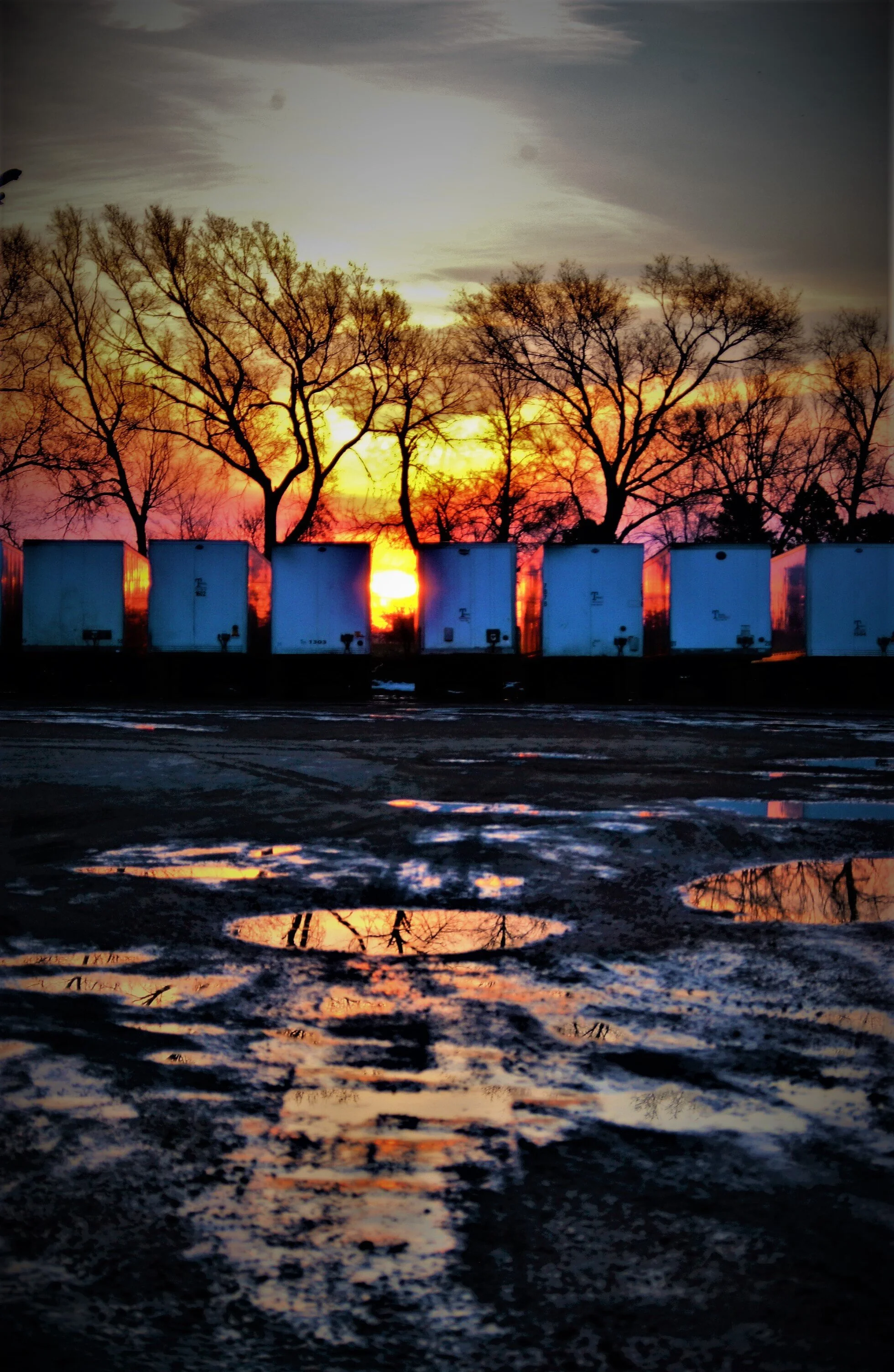  A row of trailers against trees at sunrise. 