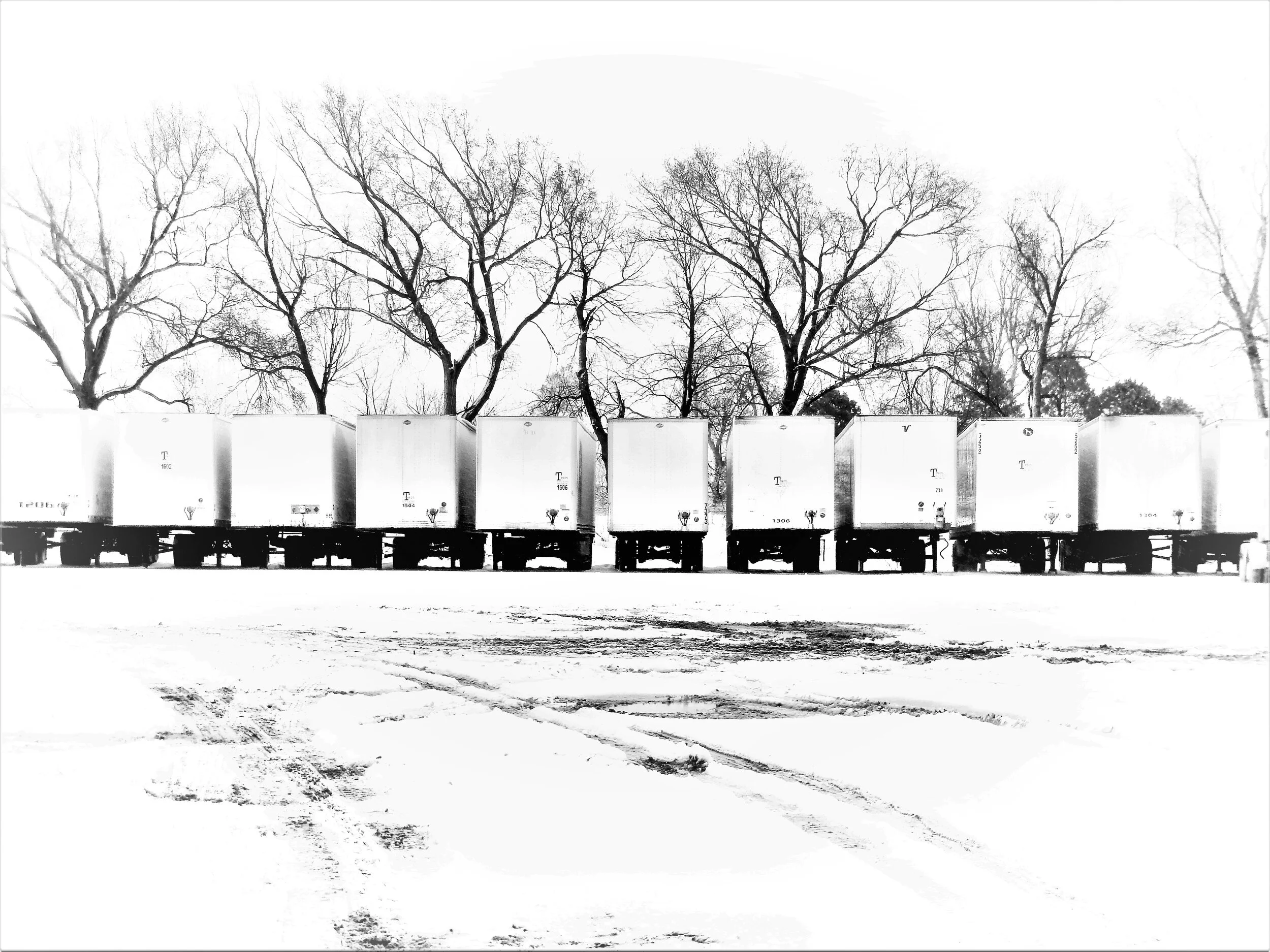  Trailers lined up in a row against a row of trees. 