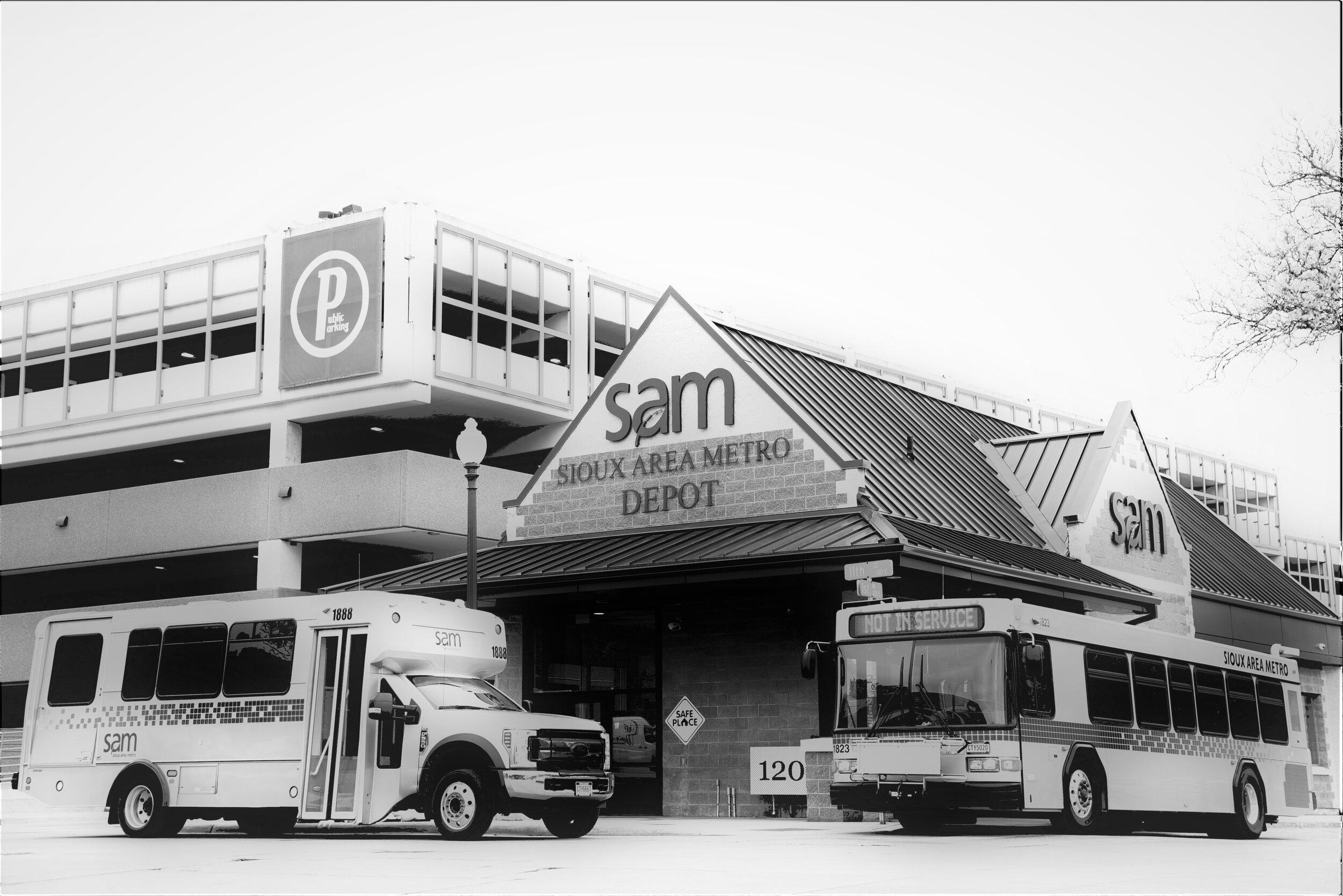 copy DSC_6916 (3).JPG