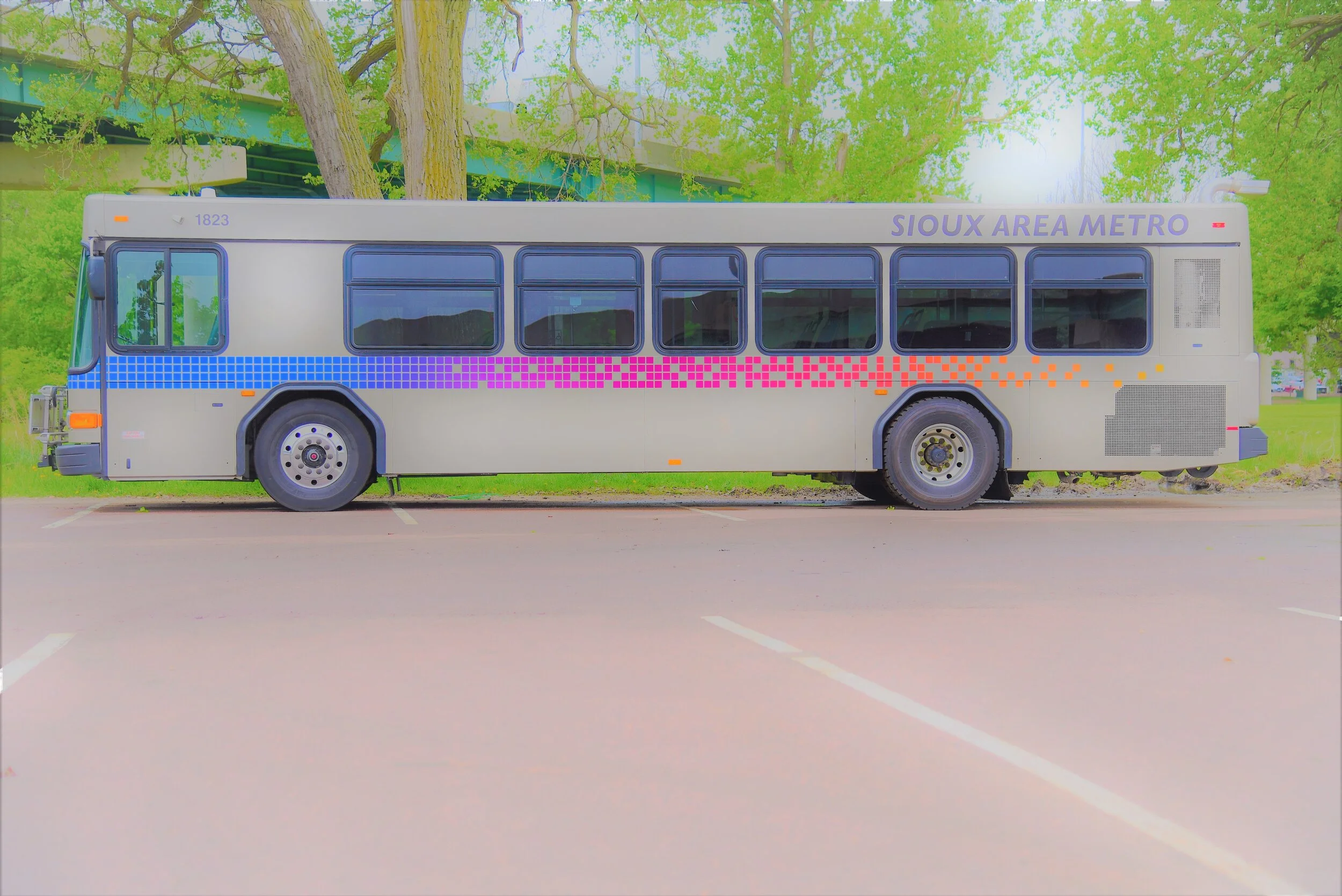 copy DSC_6933 (2).JPG