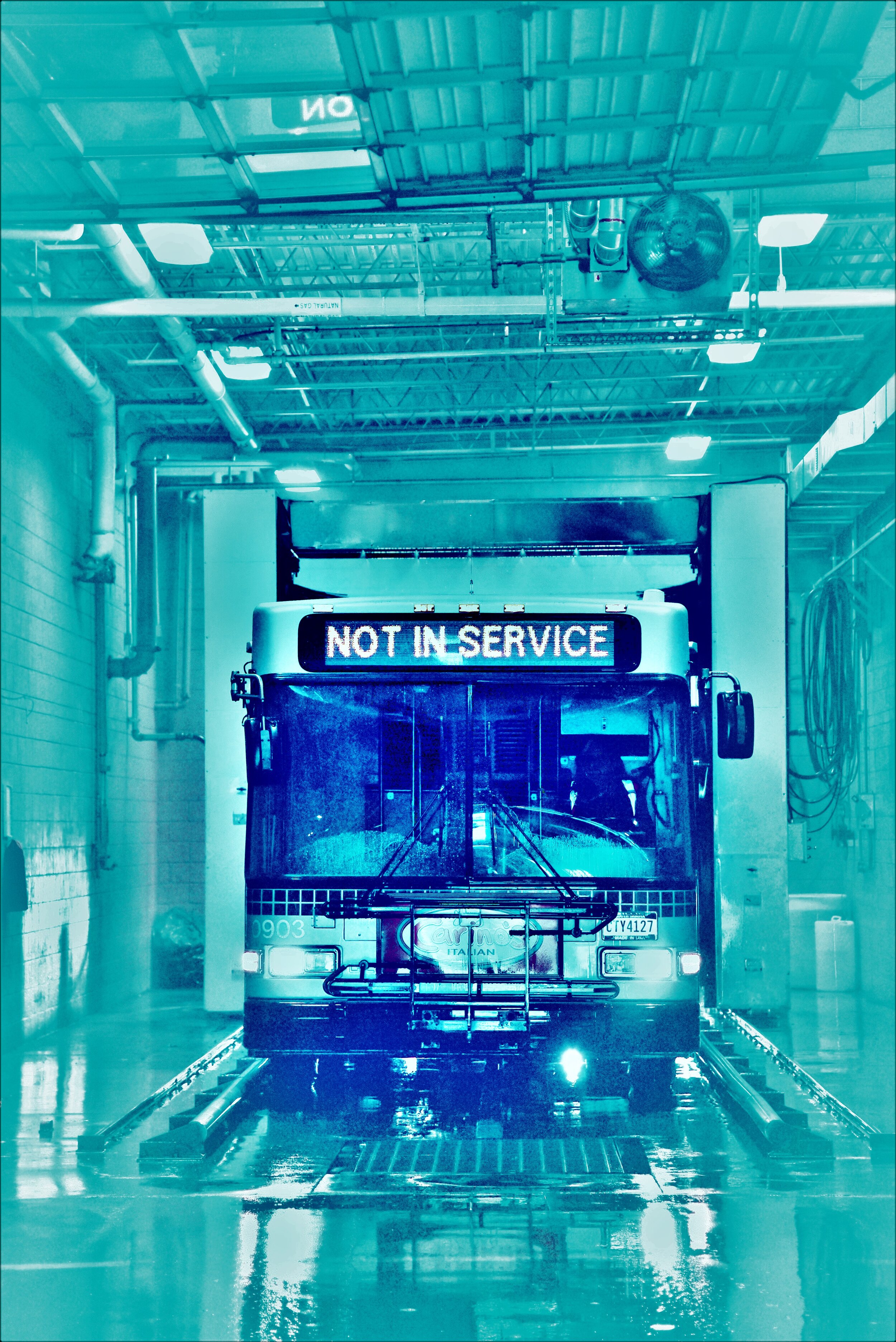 copy DSC_6985 (3).JPG