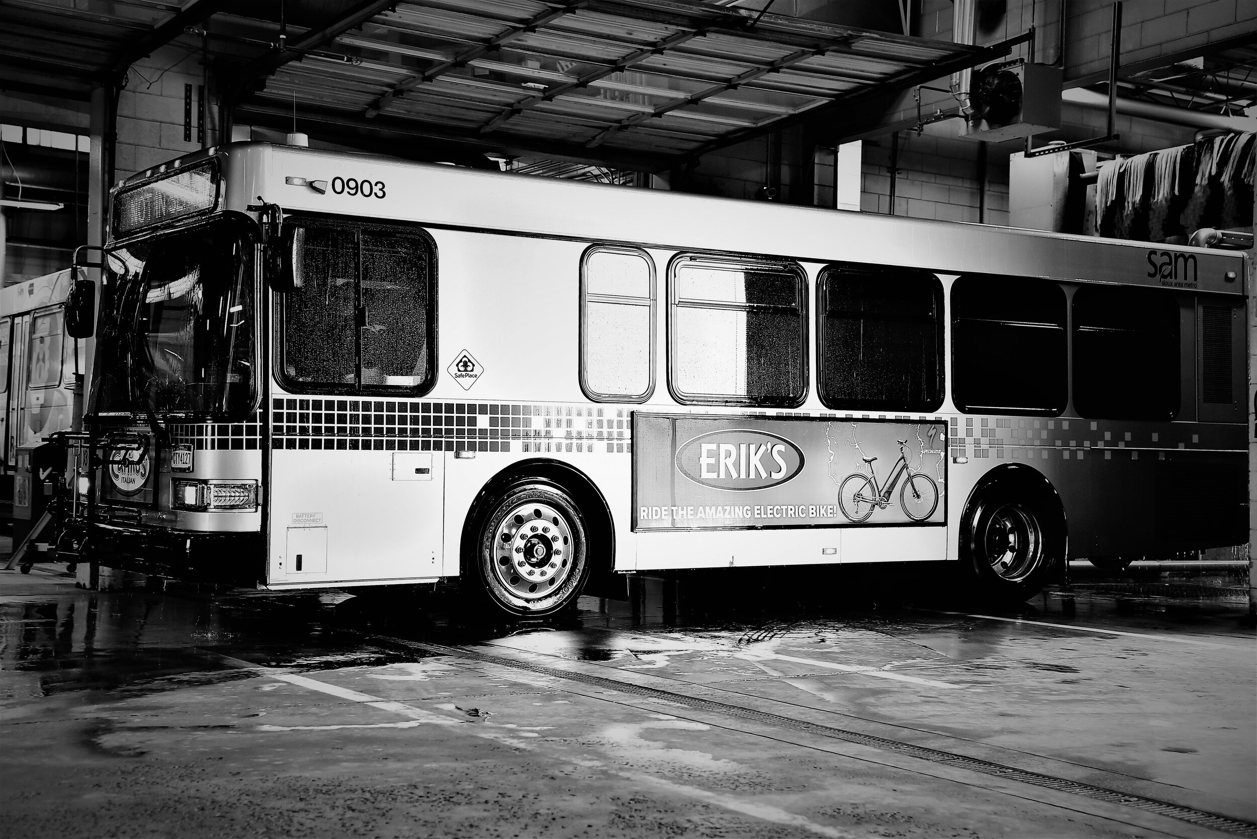 copy DSC_6993 (2).JPG