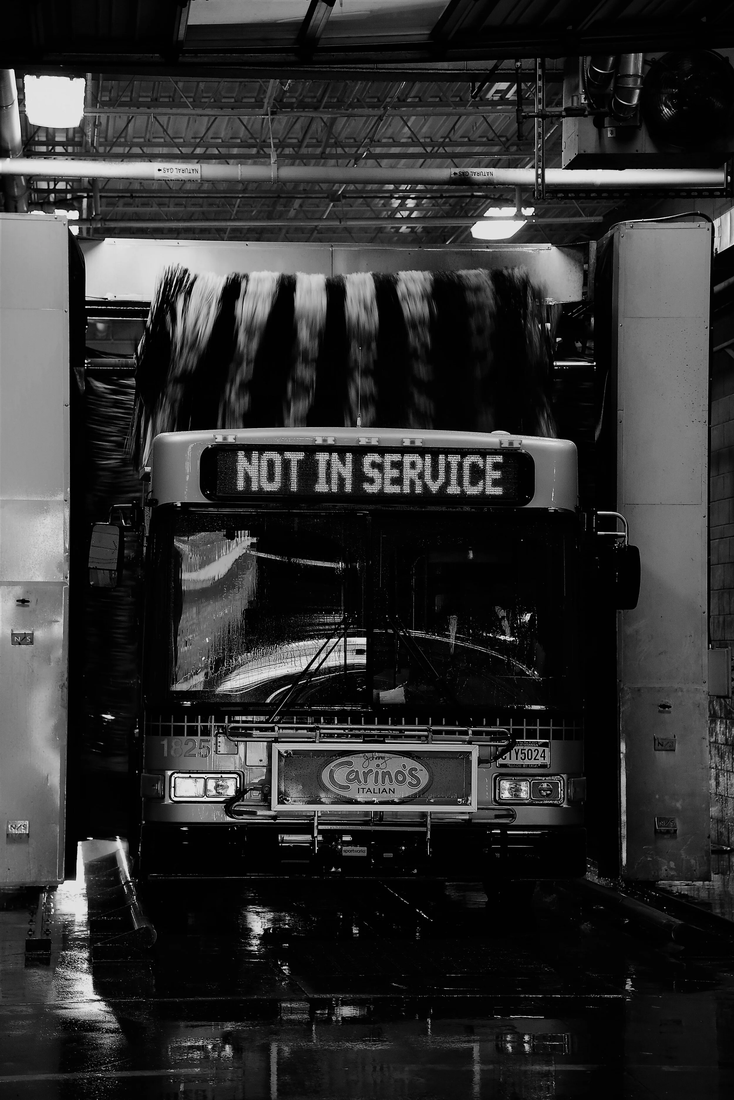 copy DSC_7004 (2).JPG