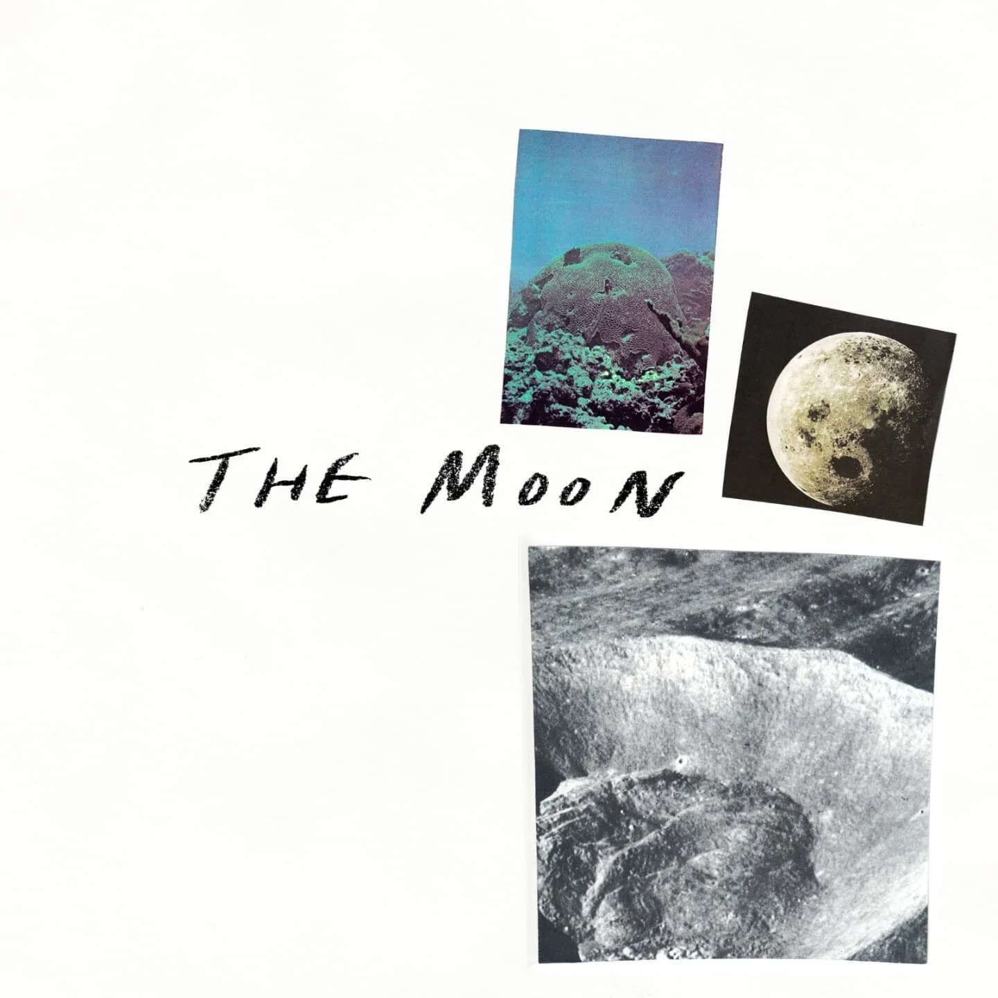 Day 19! The moon! Keywords: WILDERNESS, HECATE, THRESHOLD. 
.
.
.
#inktober #ink #october #collage #tarot #tarotcards #astrology #witches #witchcraft #magick #witchesofinstagram  #design #drawing #art #illustration #illustratorsoninstagram #artistson