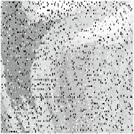 Bias in Artificial Intelligence