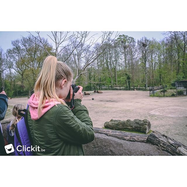 Een mooie terugblik naar het mooie Clickit avontuur. Wat fotograferen jullie het liefst? 🐘
&bull;
&bull;
&bull;
#clickit #foto #fotografie #zoo #fun #kids #fotograaf #kamp #fotografiekamp #kinderkamp