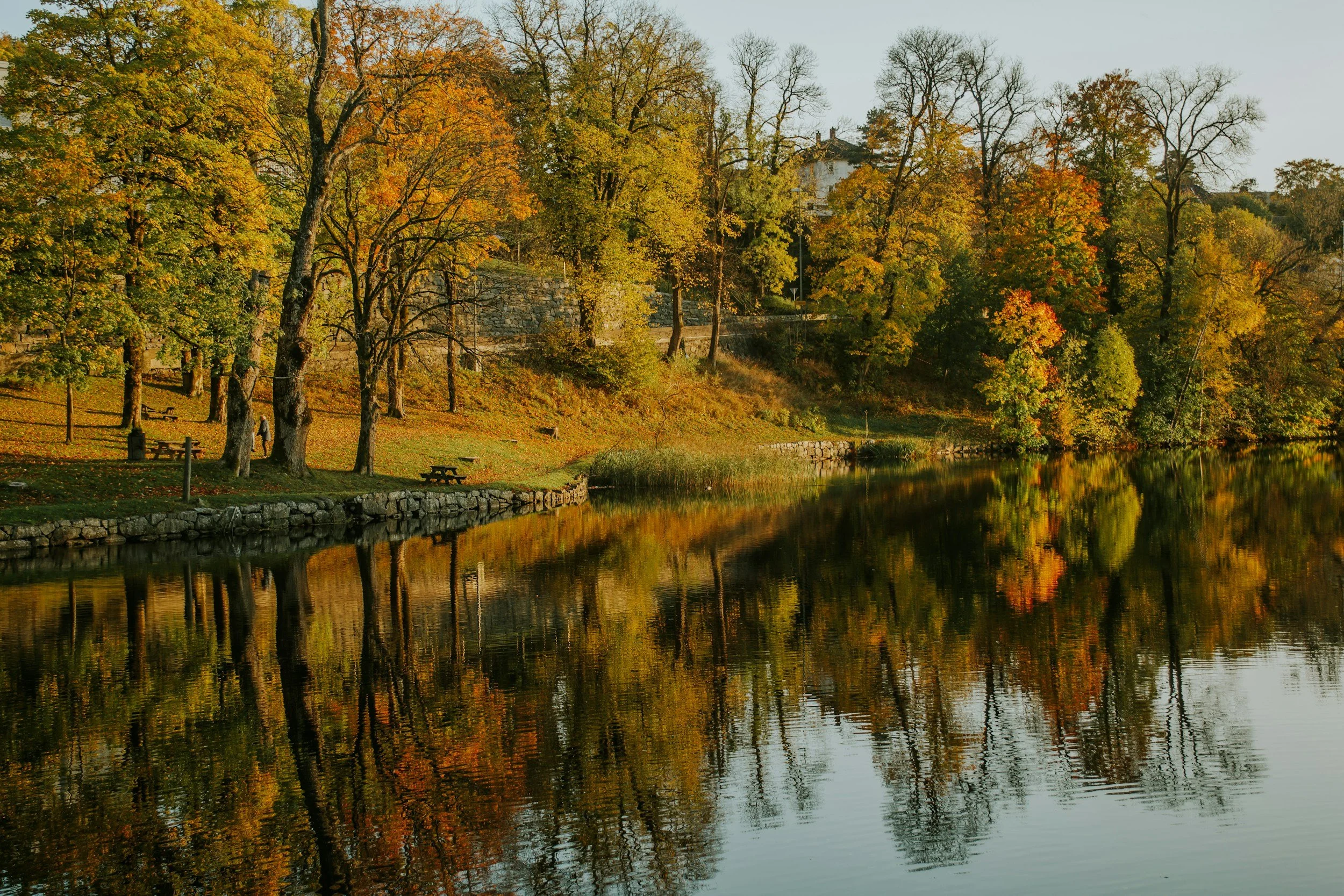 Fall season with trees and water