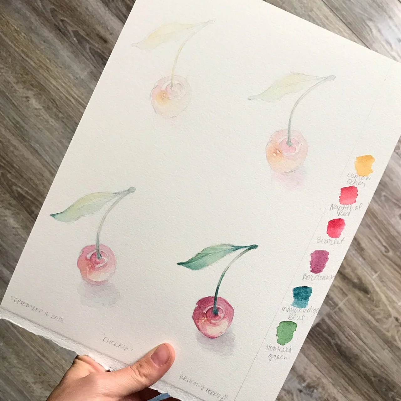 Intermediate Watercolour - Still Life (November 15th, 2022)